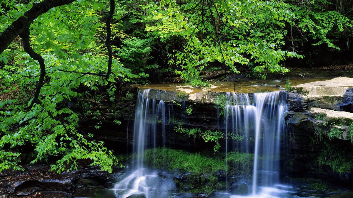 Установить на рабочем столе обои красивая. Водопады. Красивые водопады. Лесной водопад. Живая природа.