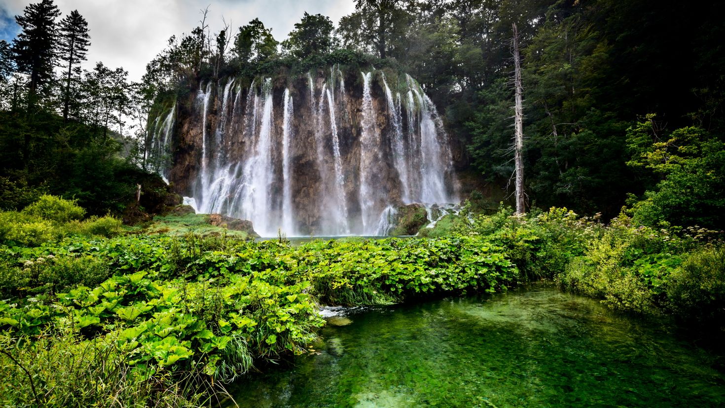 Озера водопад лес. Плитвицкие озёра Хорватия. Водопады Плитвицких озер, Хорватия. Плитвицкие озёра Хорватия обои. Плитвицкие озера водопад высокий.