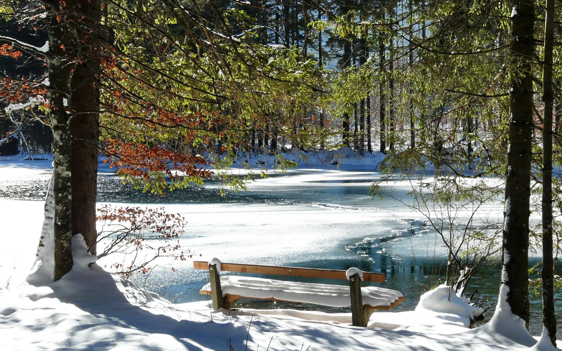 melting, spring, nature, trees, ice, snow, lake, shore, bank, bench phone wallpaper