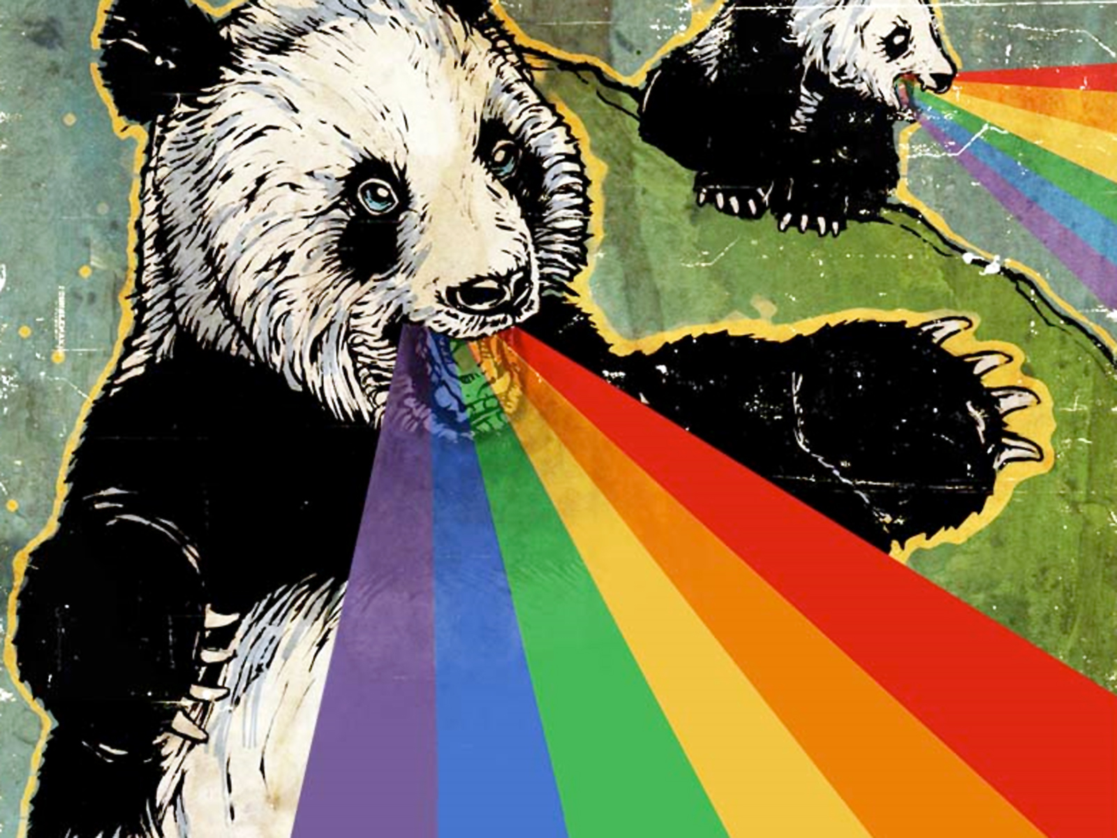 158602 Hintergrundbild herunterladen humor, lustig, bär, panda, regenbogen - Bildschirmschoner und Bilder kostenlos