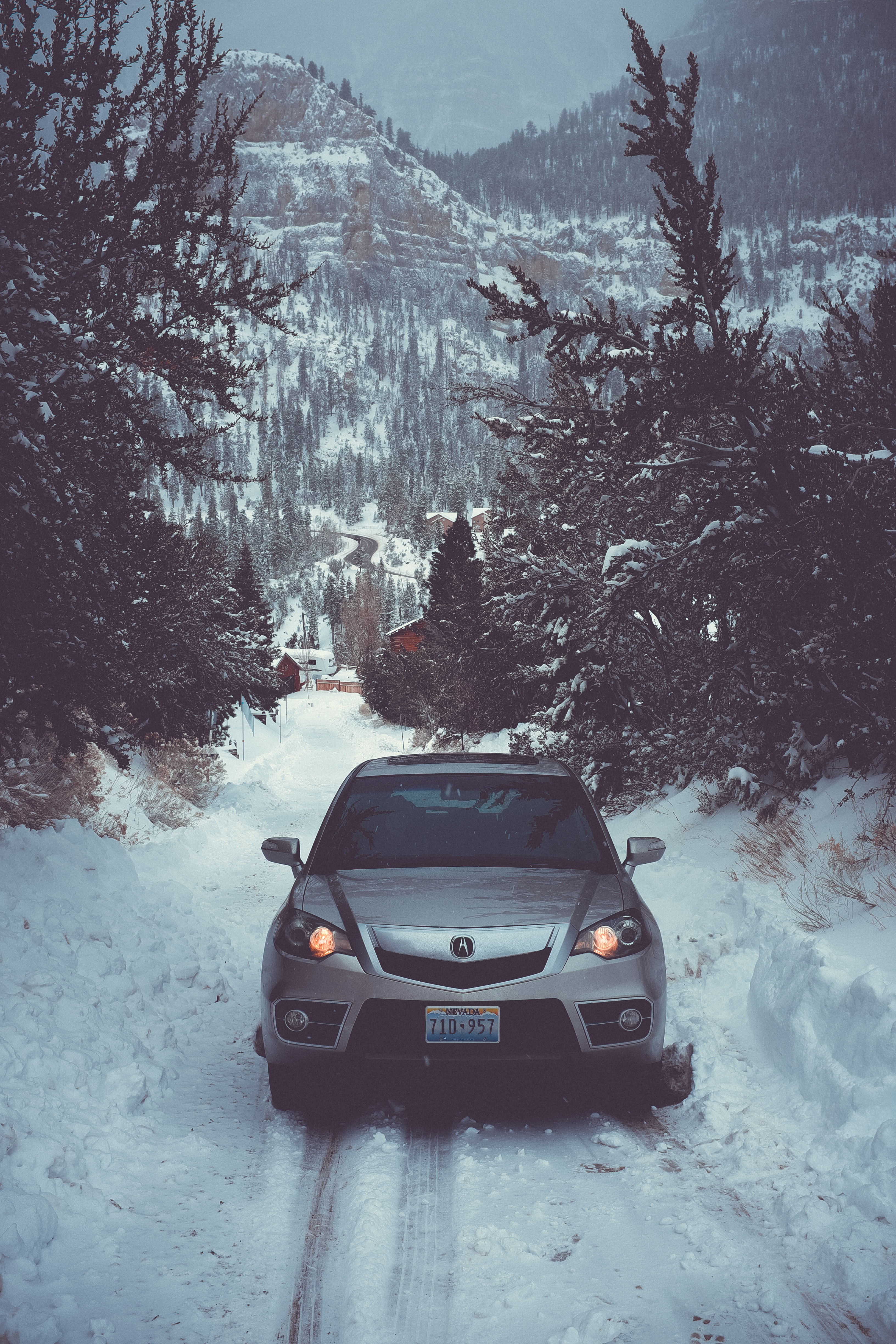 Laden Sie das Auto, Bäume, Cars, Vorderansicht, Schnee, Frontansicht, Winter-Bild kostenlos auf Ihren PC-Desktop herunter