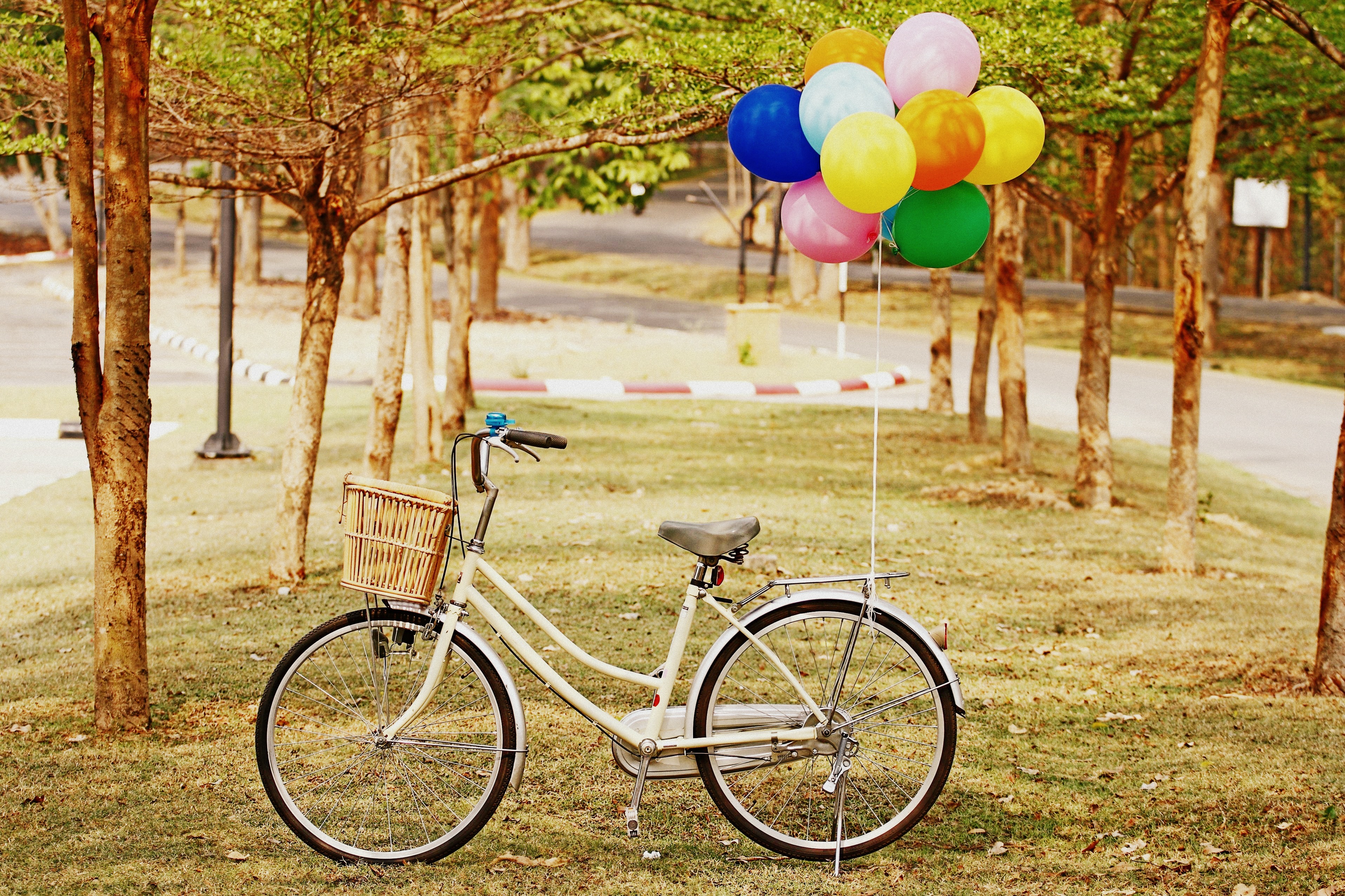 111587 скачать обои велосипед, трава, разное, парк, воздушные шарики - заставки и картинки бесплатно