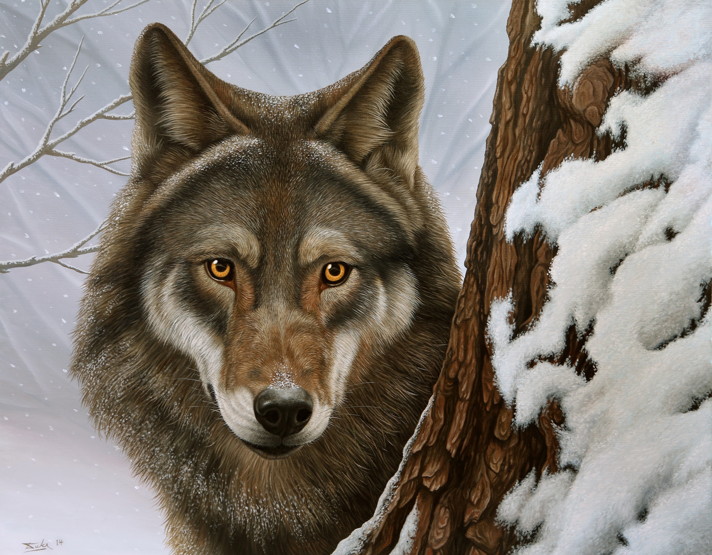 Волк иллюстрация