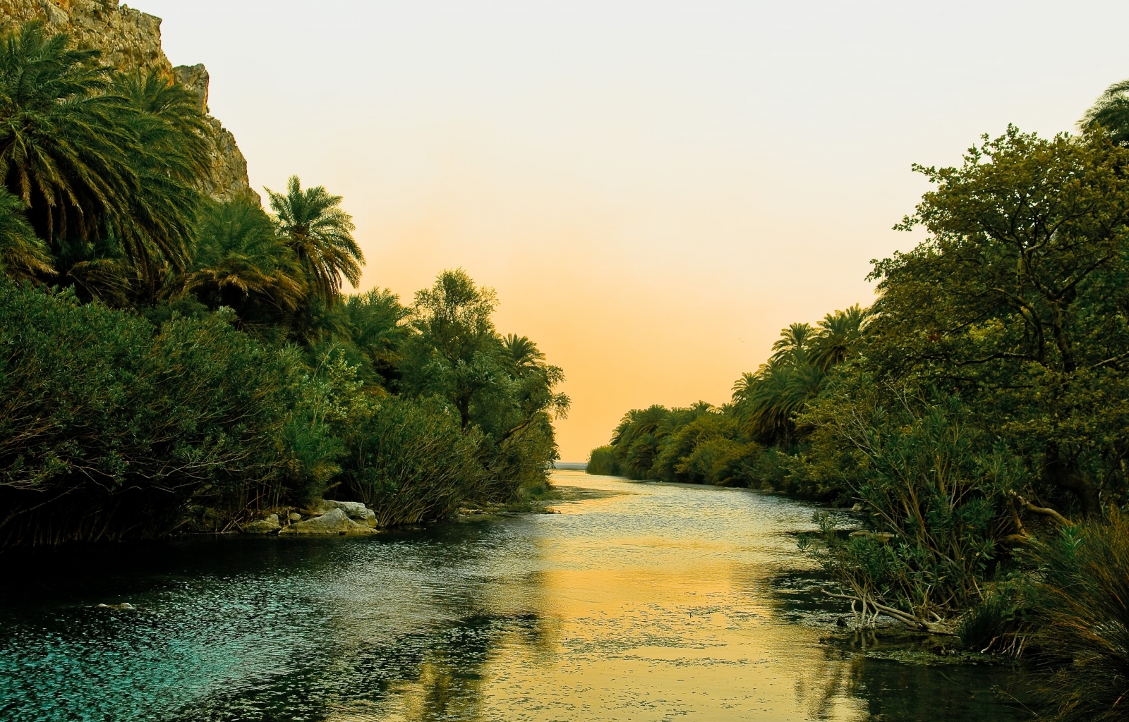 Download mobile wallpaper Rivers, Landscape, Trees, Palms for free.