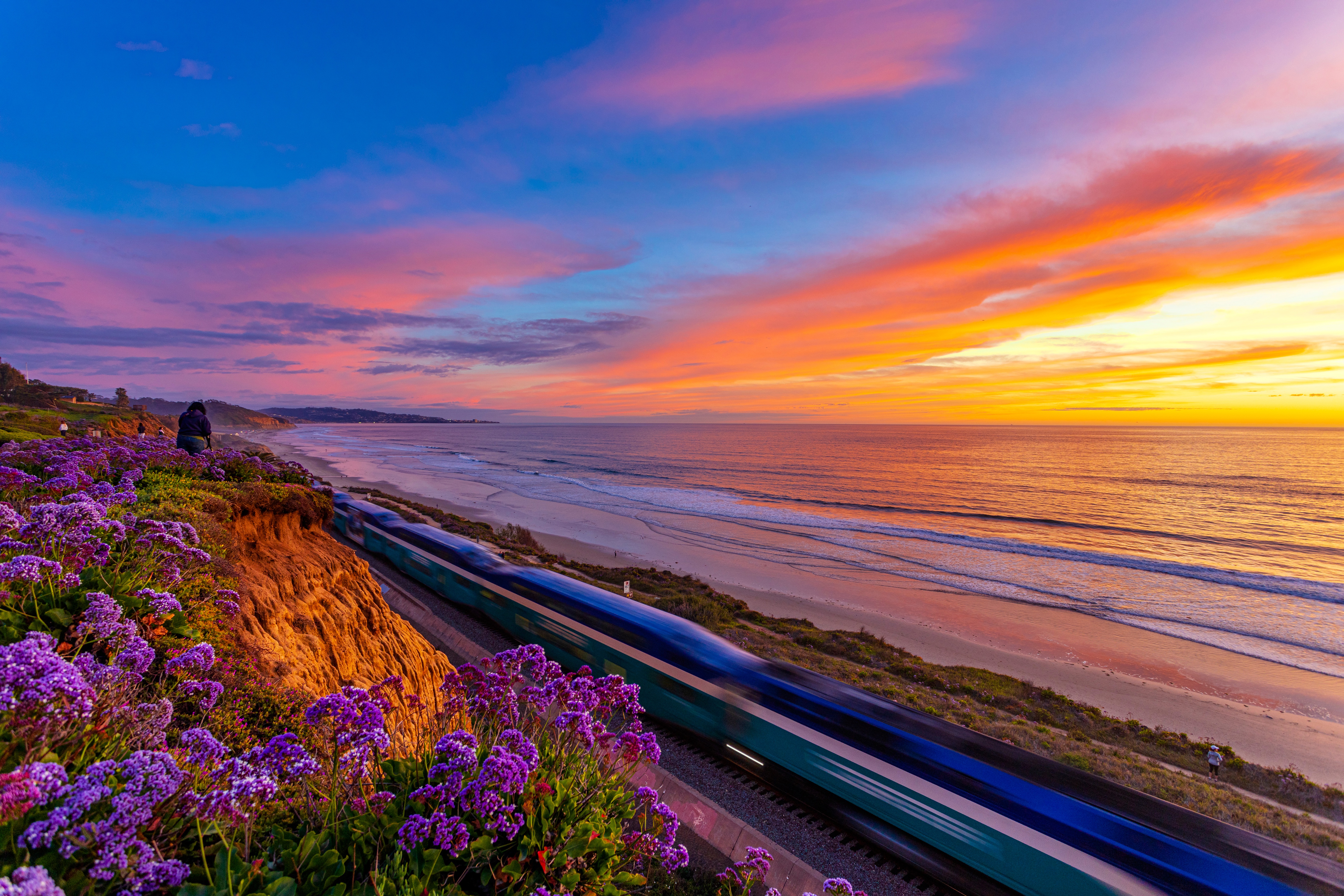 pacific ocean, photography, coastline, california, coast, flower, motion blur, ocean, sunset, train