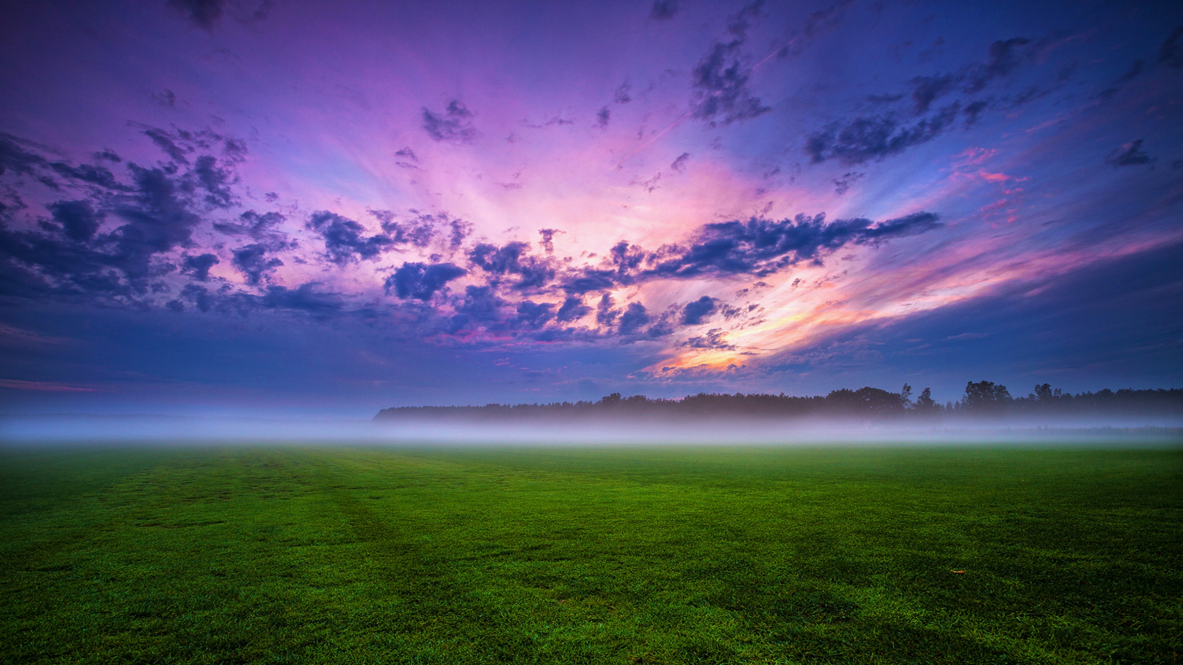 field, earth, nature, sunrise, grass, landscape, cloud, fog 4K