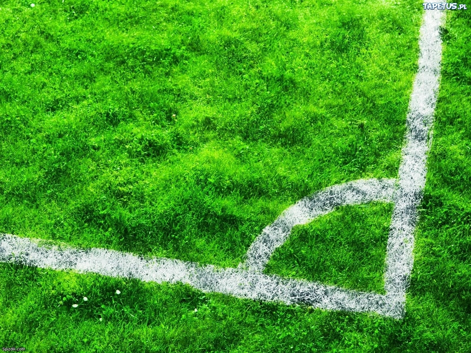 Download mobile wallpaper Grass, Background, Football for free.