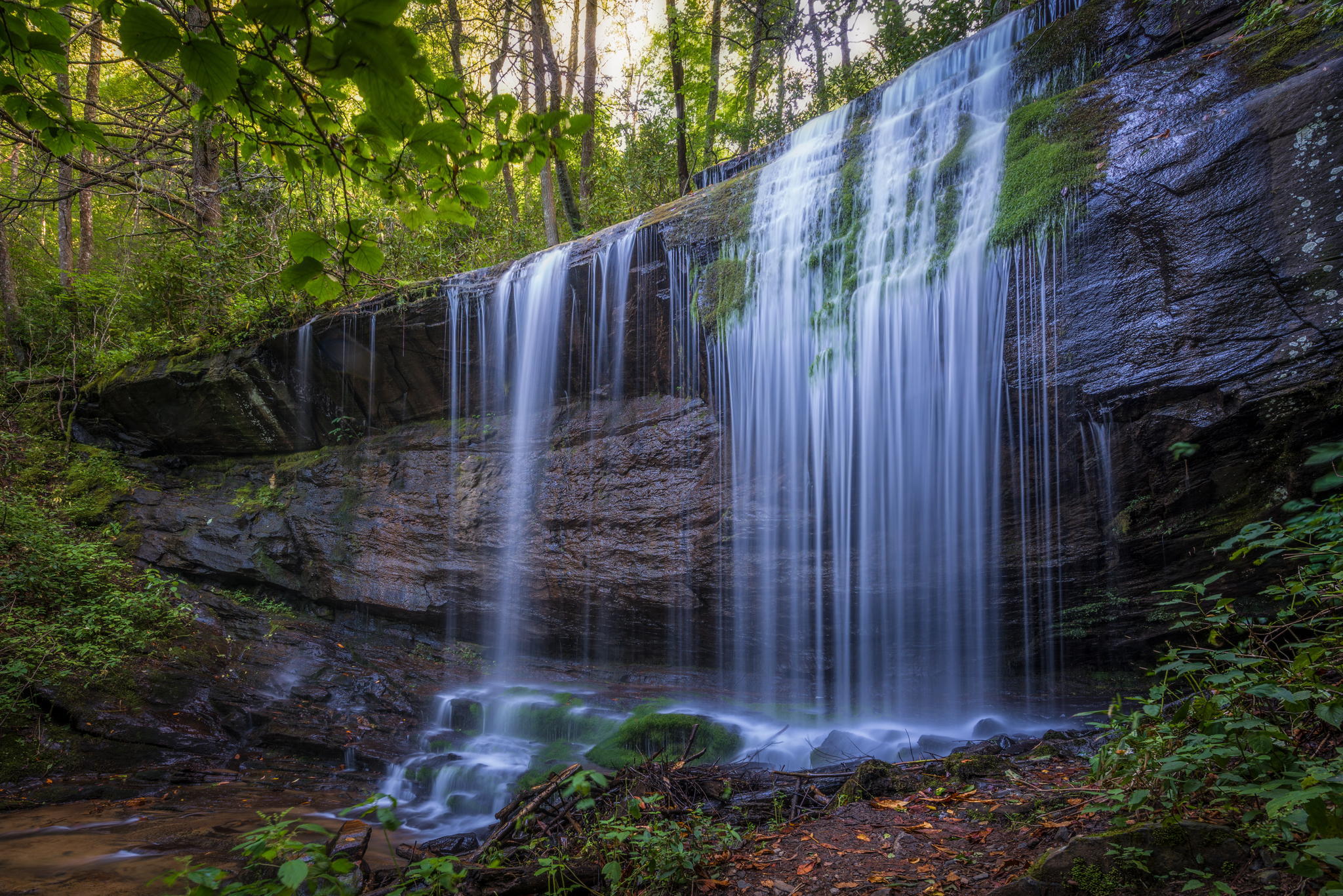 waterfall, trees, nature, grass, rock download HD wallpaper