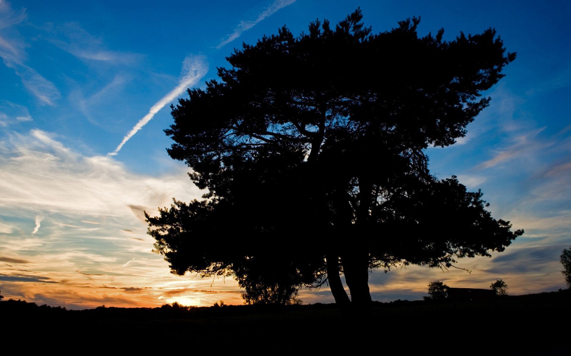 plane, nature, sky, twilight, silhouette, wood, tree, dusk, evening, airplane, track, trace Smartphone Background