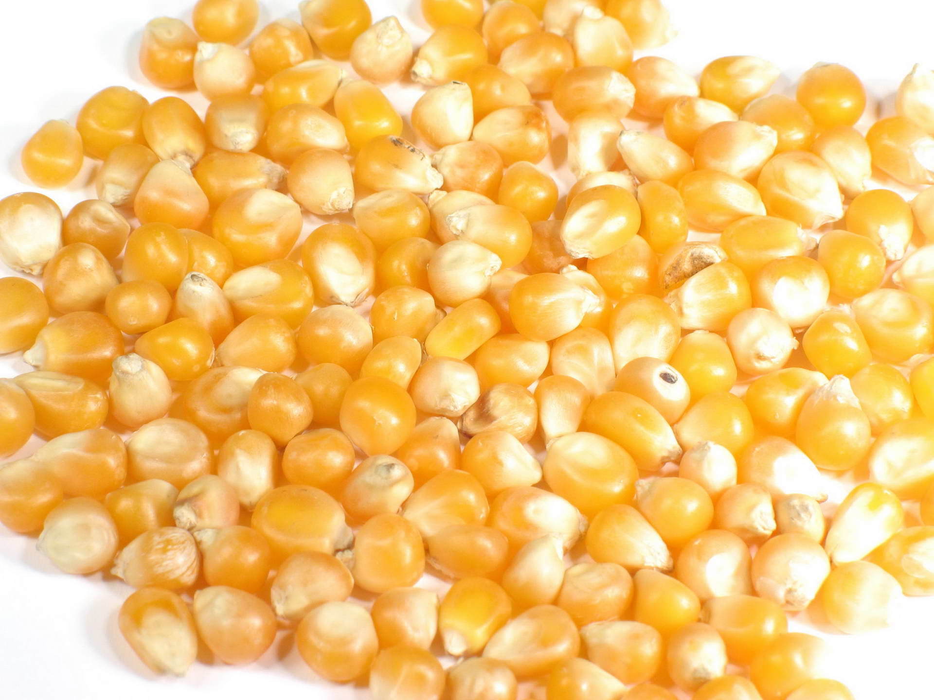 food, corn images