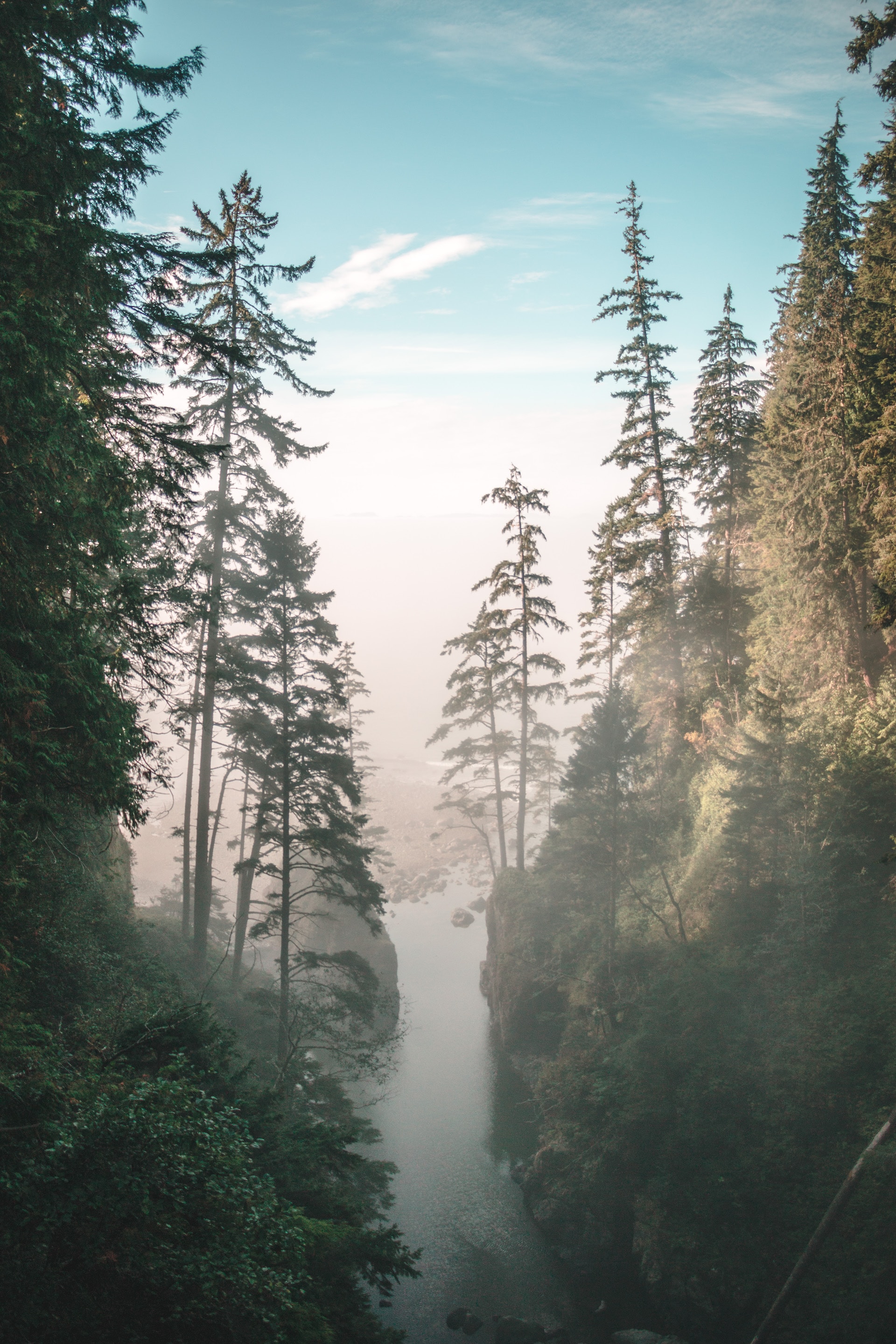 Download mobile wallpaper Rocks, Rivers, Fog, Gorge, Trees, Nature for free.