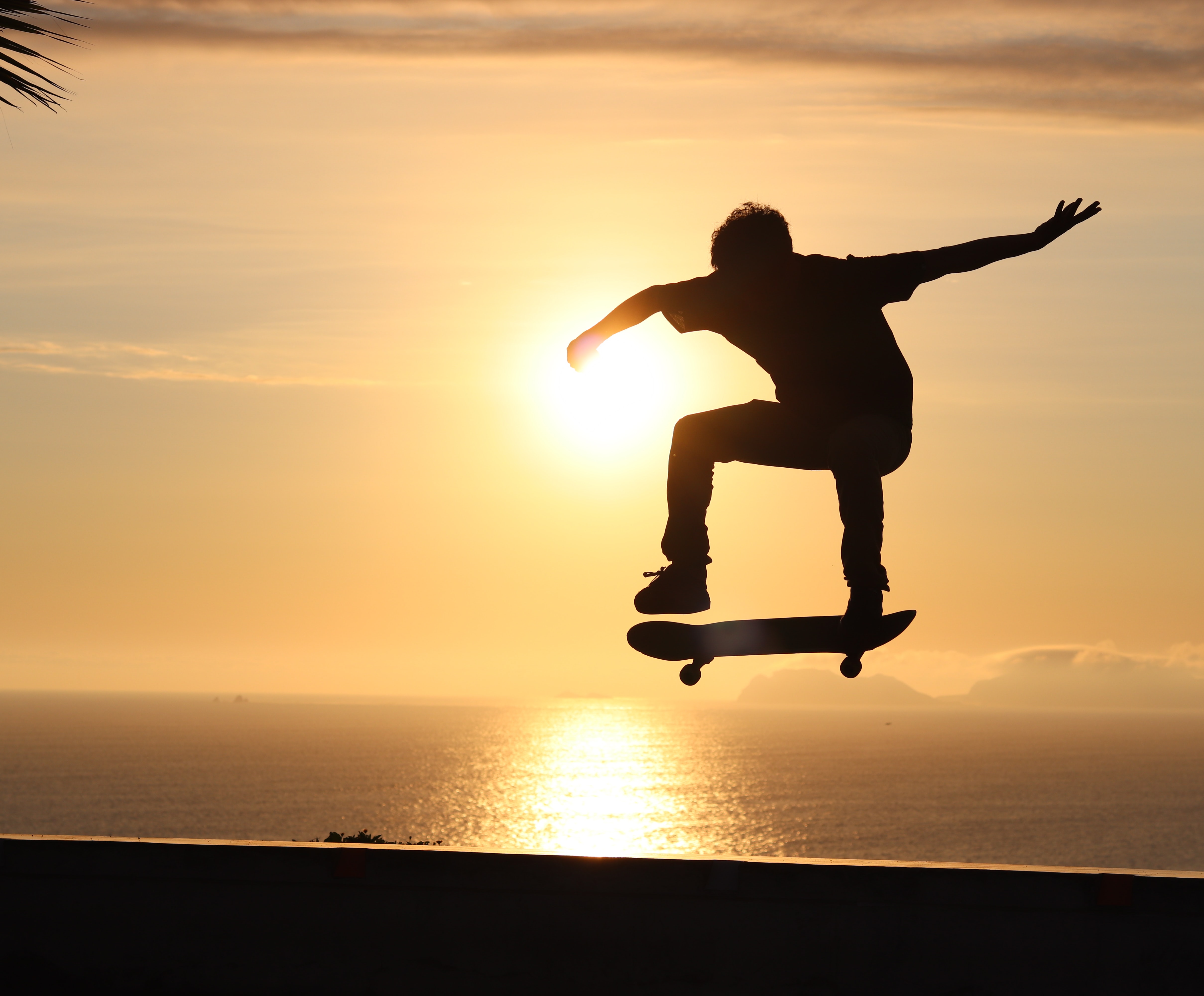 sports, sunset, silhouette, trick, skateboard, skate, skater Full HD