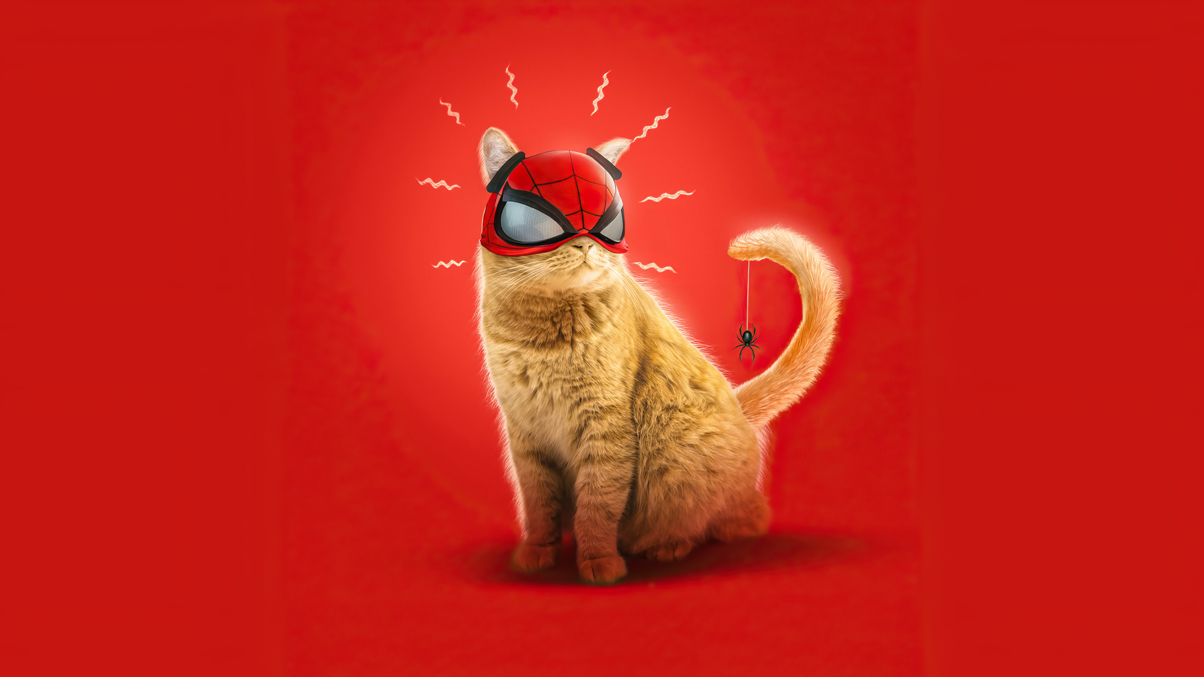 spider man: miles morales, spider cat, marvel's spider man: miles morales, video game, cat, mask, red, spider