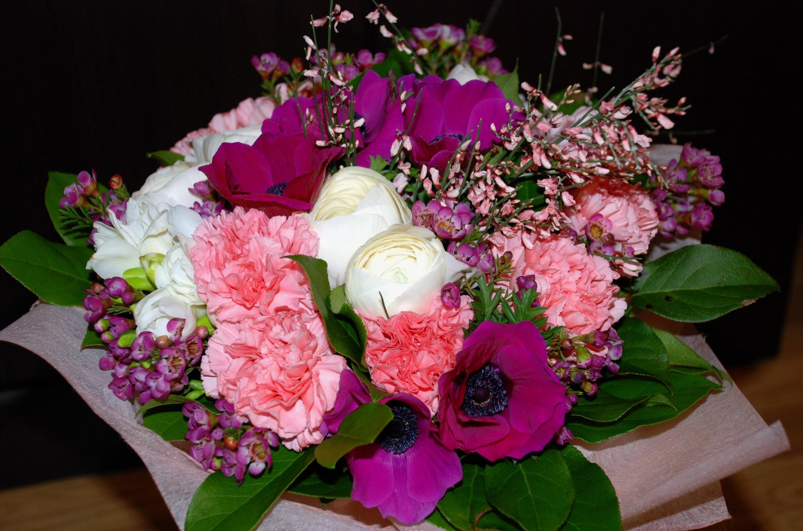 desktop Images flowers, leaves, carnations, registration, typography, bouquet, composition, anemones