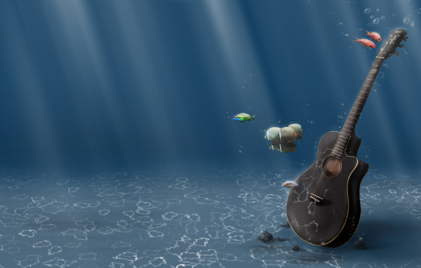 music, guitar, fish High Definition image