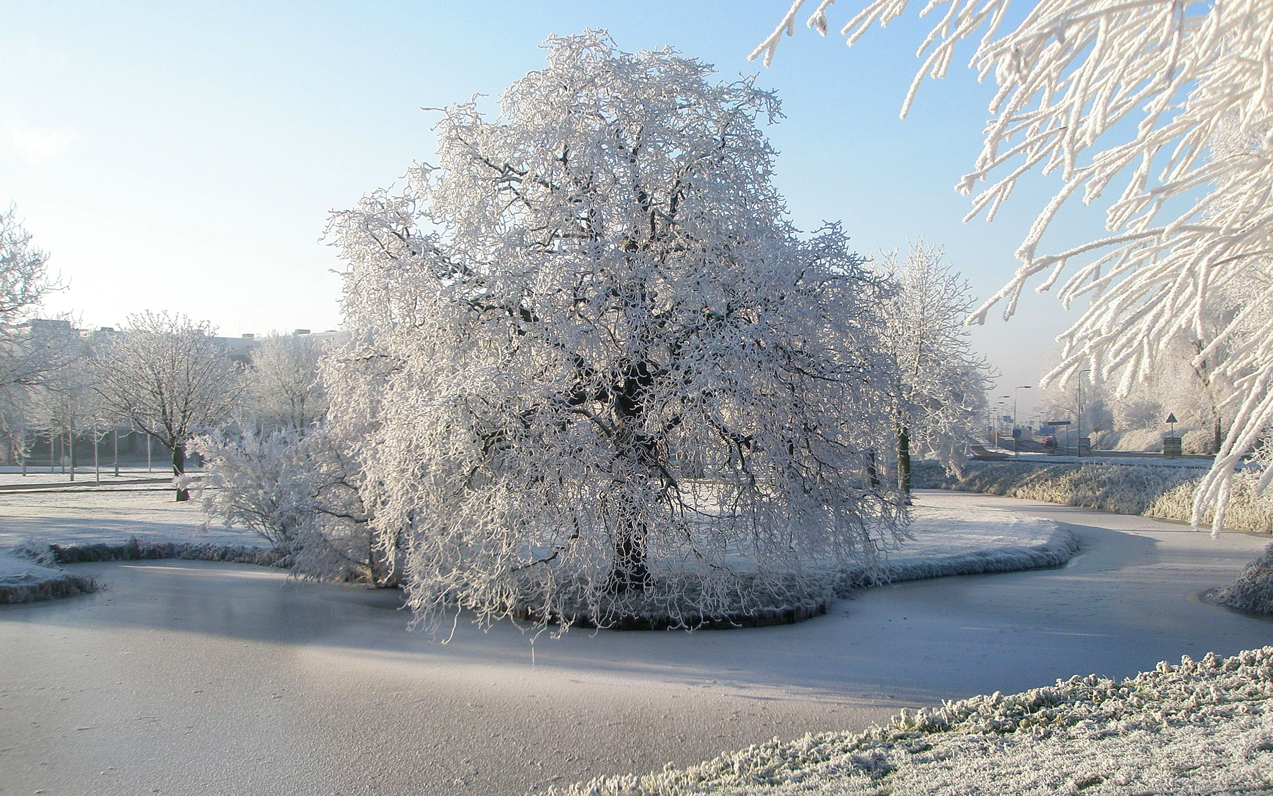 Зима река деревья