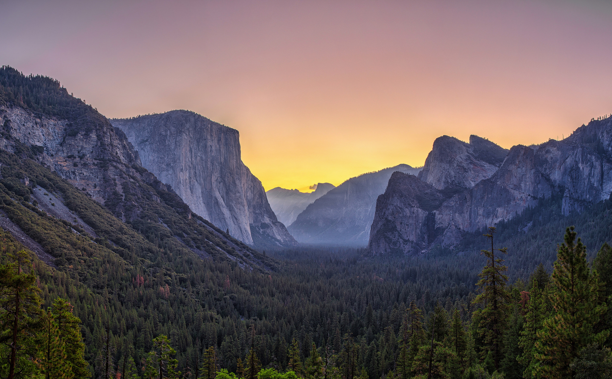 yosemite national park, earth, cliff, forest, landscape, mountain, nature, national park Panoramic Wallpaper