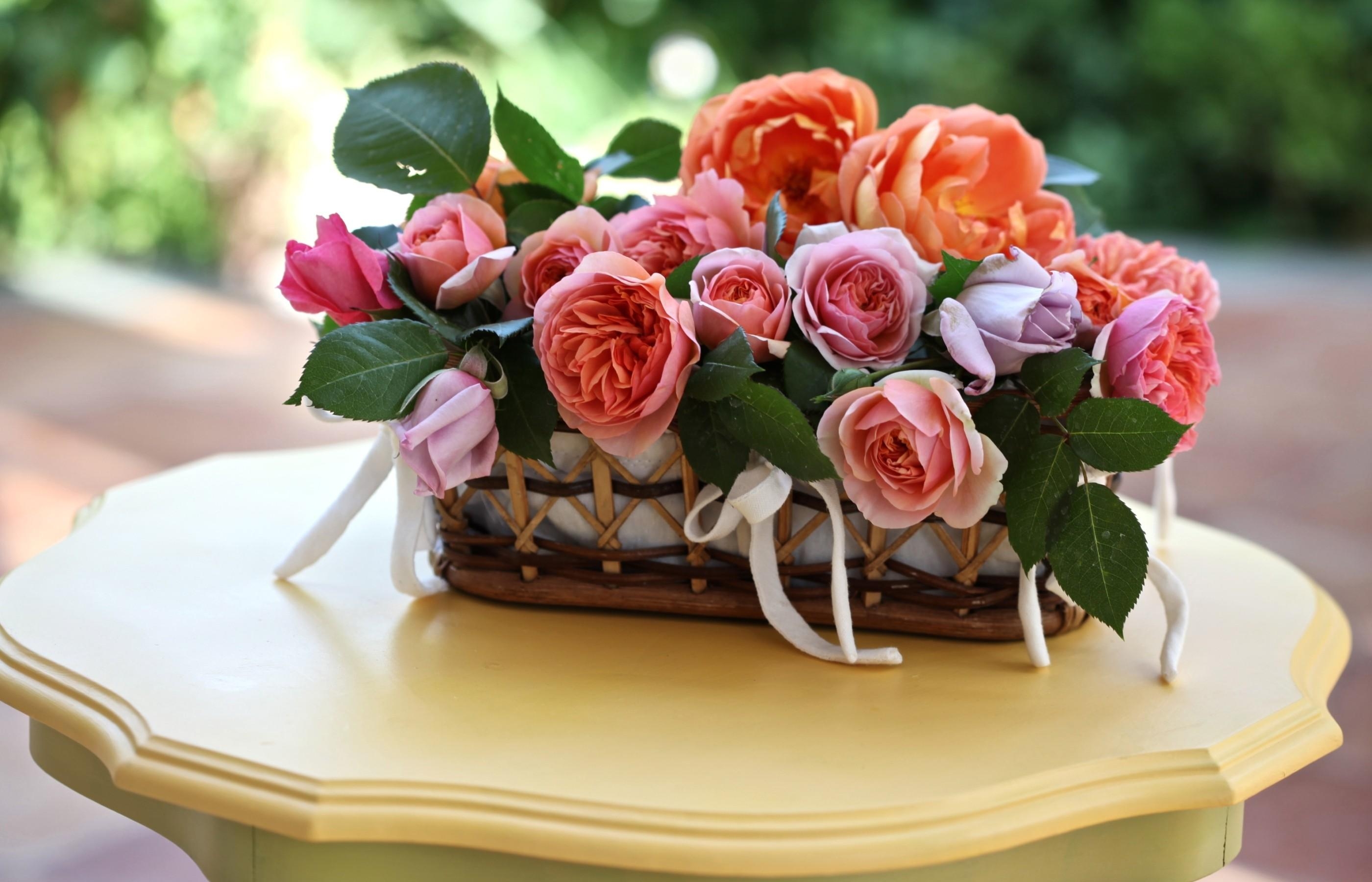 flowers, roses, leaves, table, disbanded, loose, basket Free Stock Photo