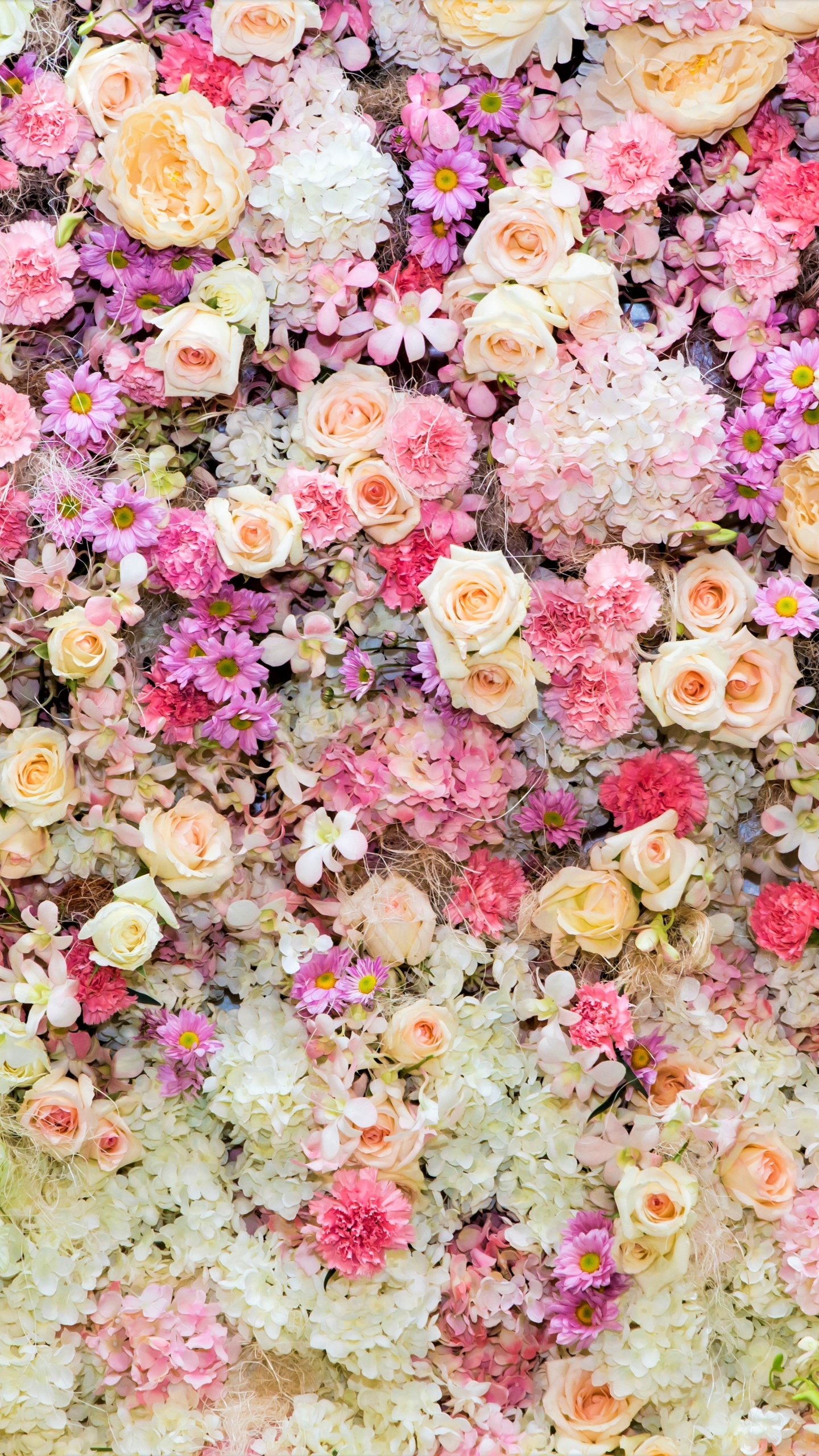 Красивые картинки с цветами для телефона. Красивые цветочки. Фон мелкие цветы. Мелкие цветочки. Мелкие розовые цветочки.