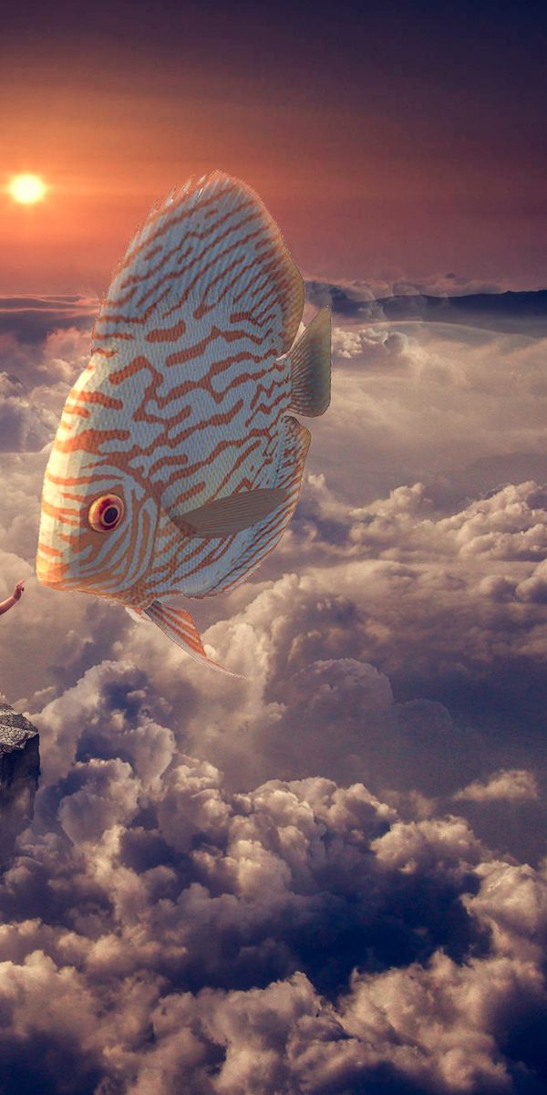 Cloud fish. Облако рыбка. Рыба в облаках. Рыба облачко. Мысленная рыба.