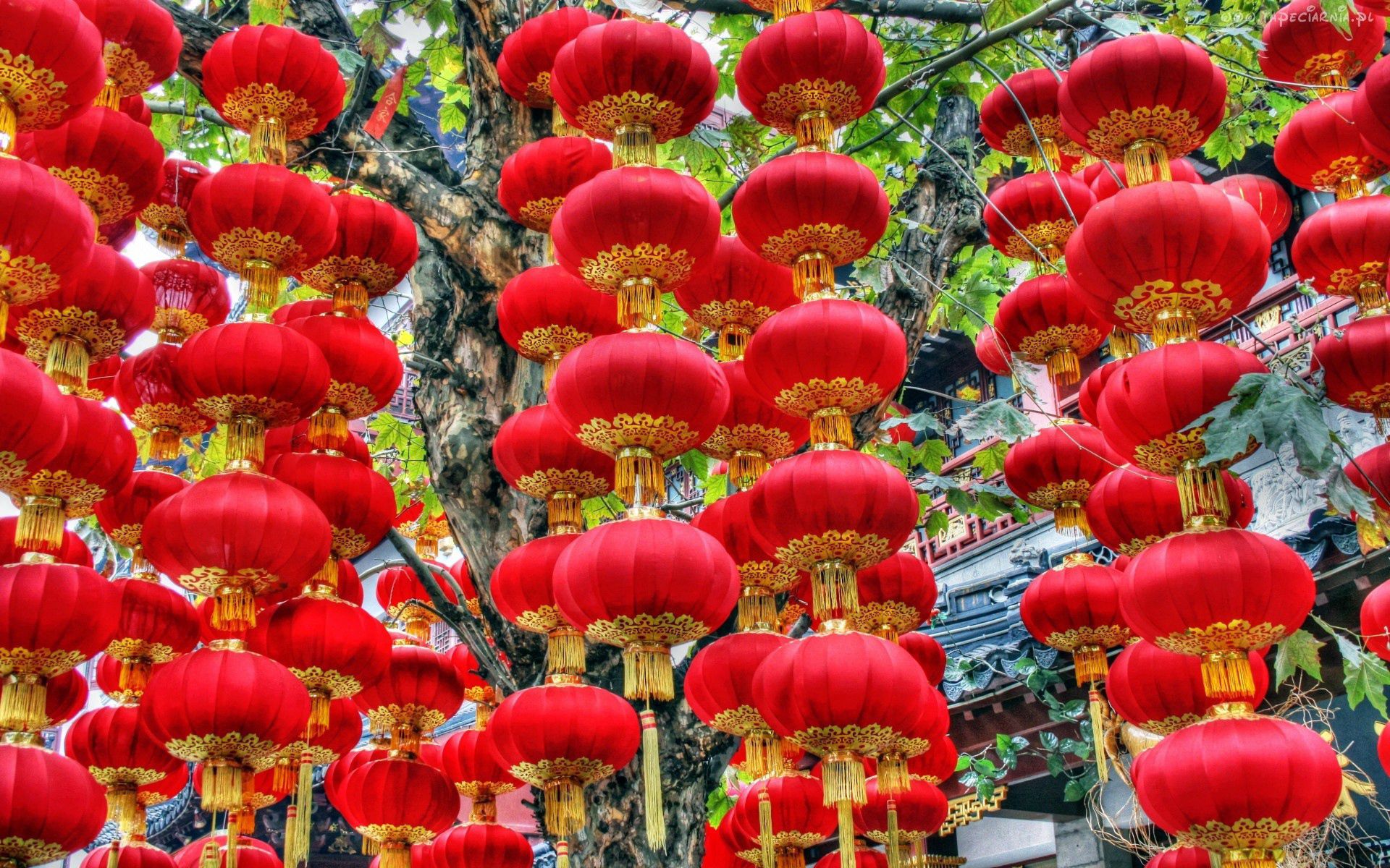 holidays, registration, new year, typography, decoration, new year chinese lanterns, new year's chinese lanterns 8K
