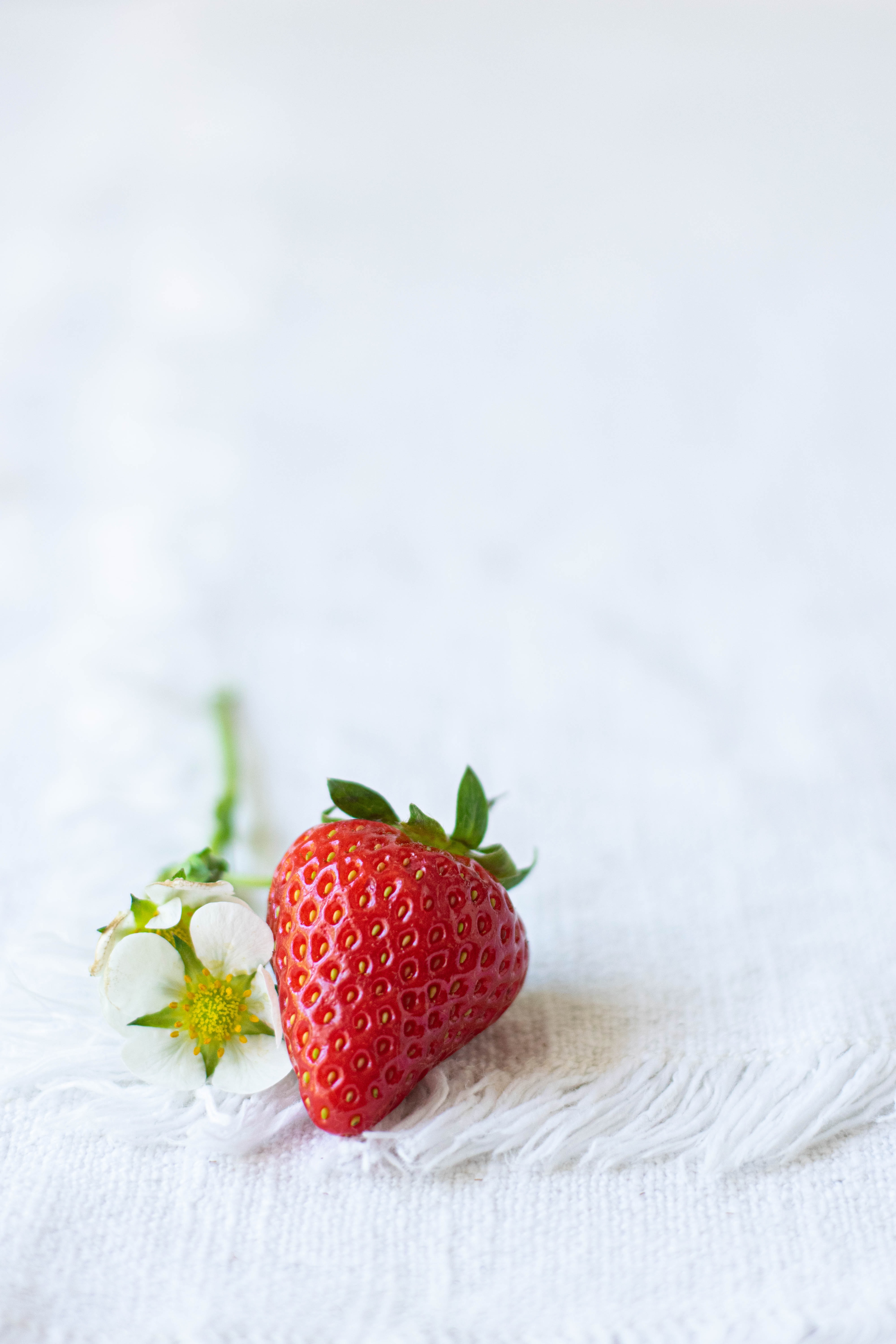 Free download wallpaper Flowers, Food, Berry, Strawberry, Cloth on your PC desktop
