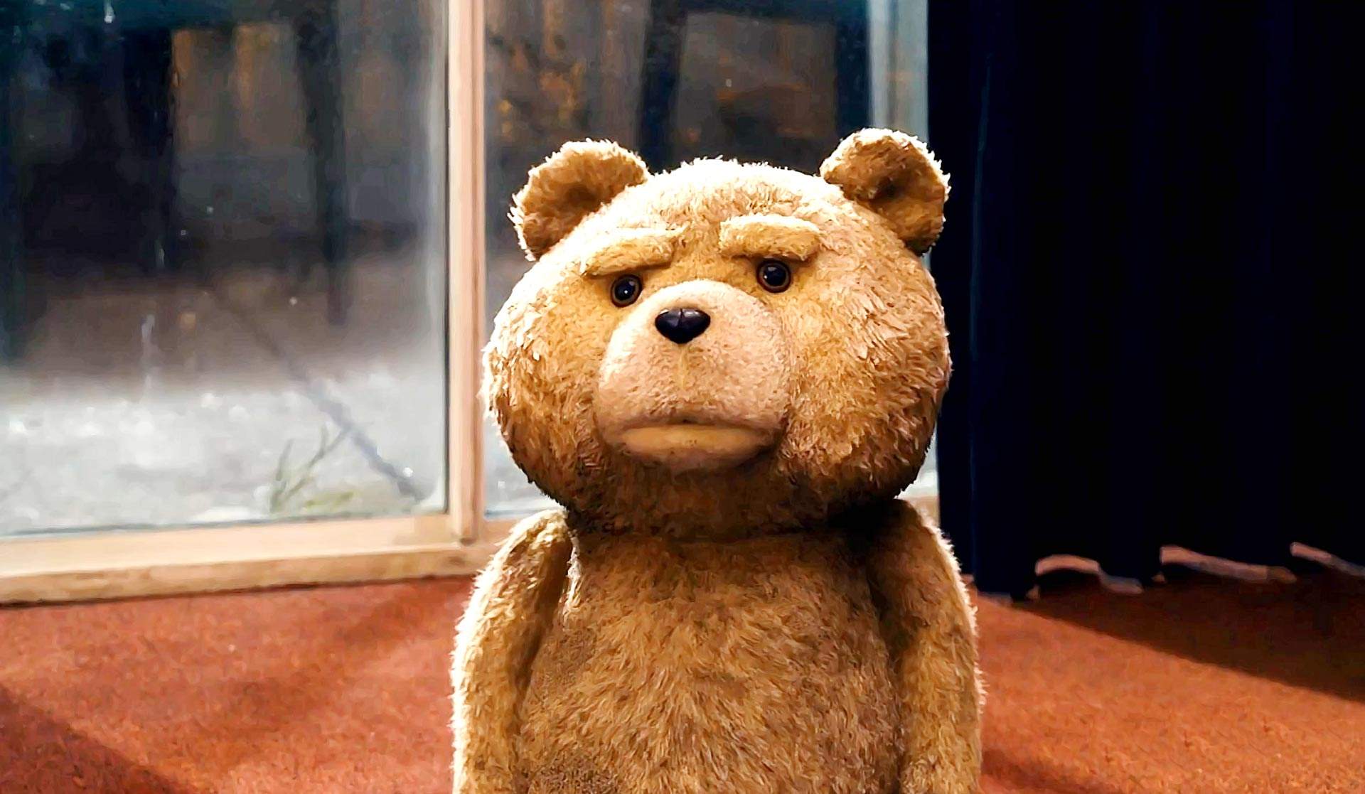 ted, movie