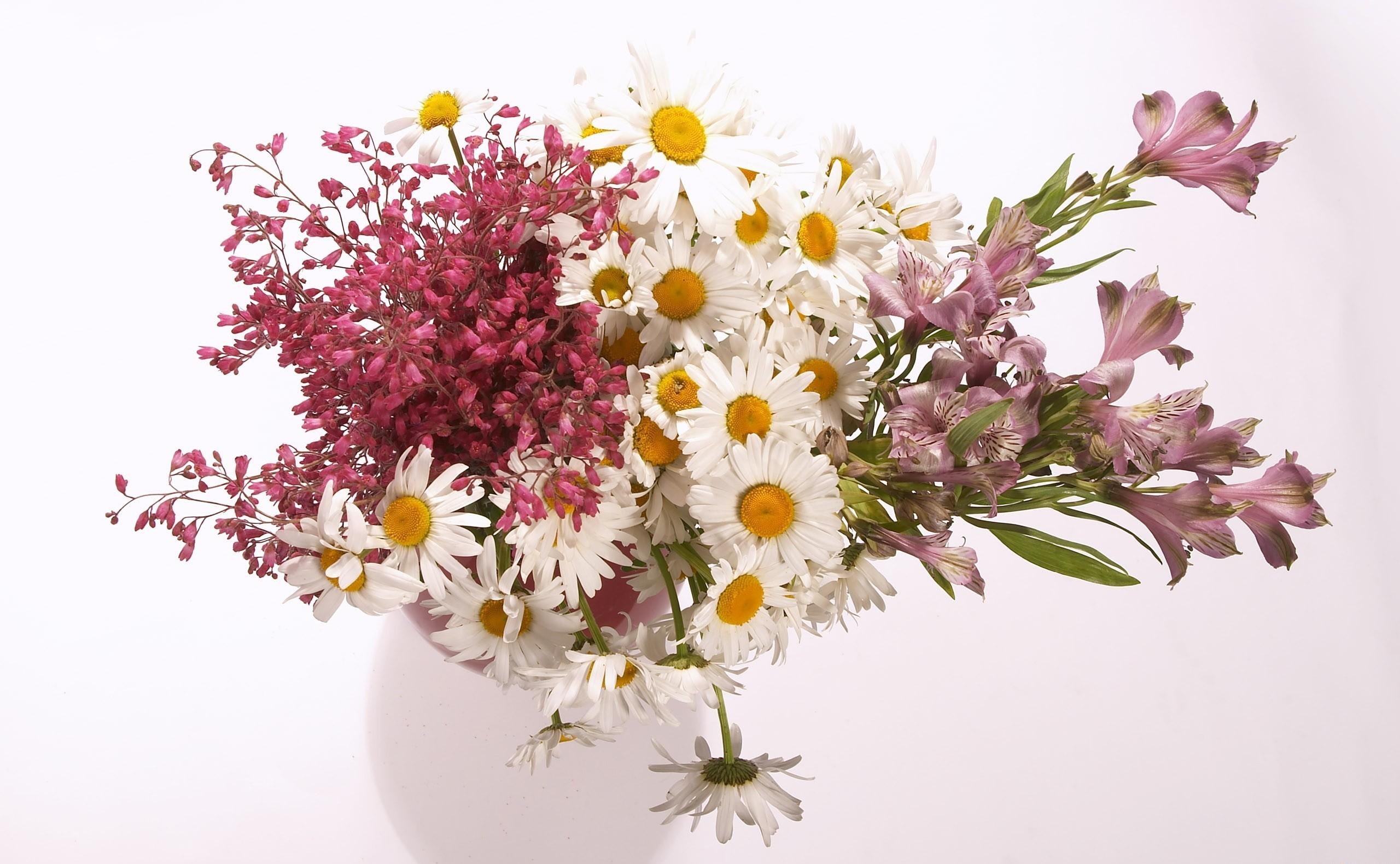 flowers, camomile, alstroemeria, bouquet, vase, composition High Definition image