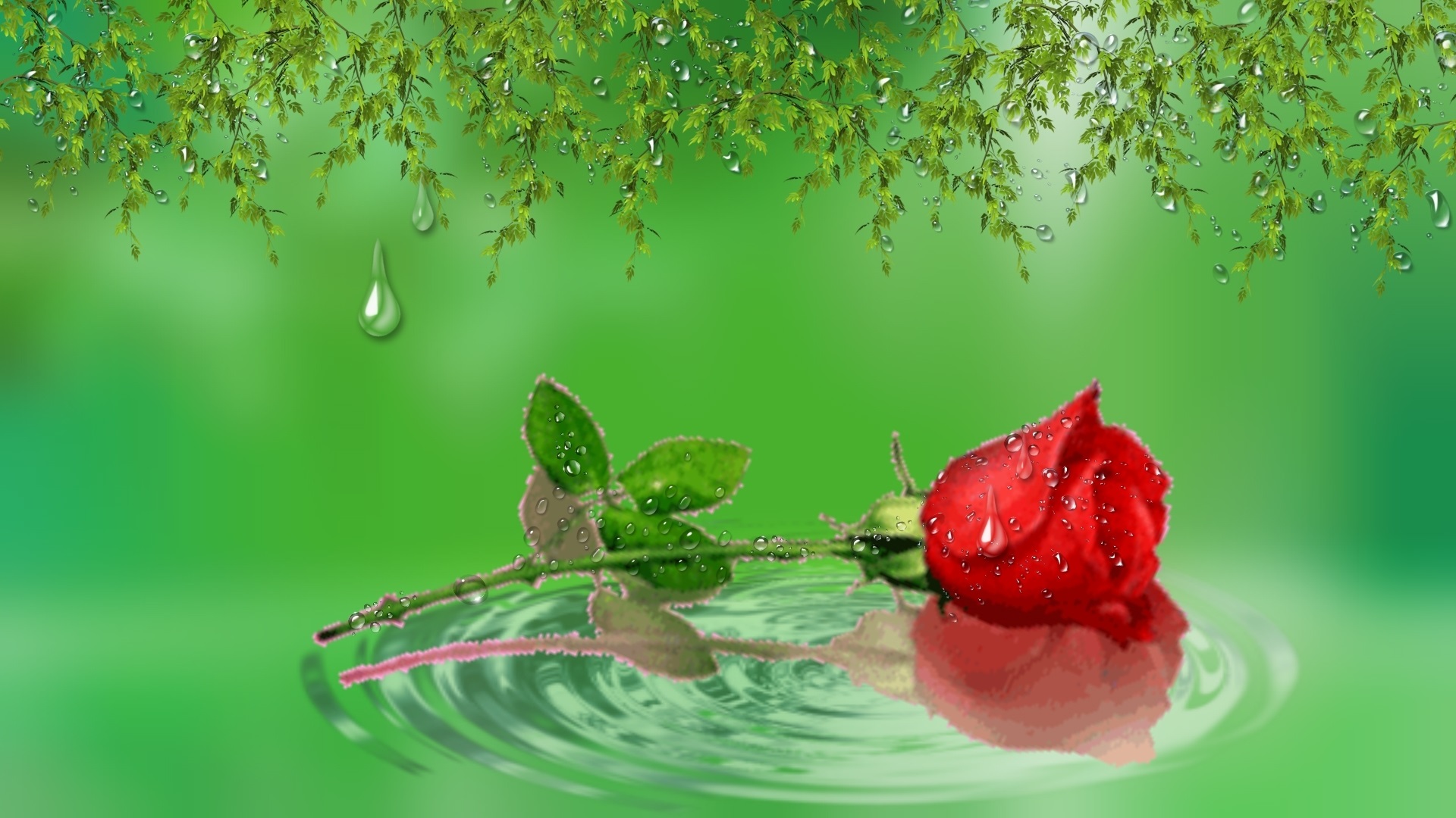 artistic, flower, reflection, ripple, rose, water, flowers HD wallpaper