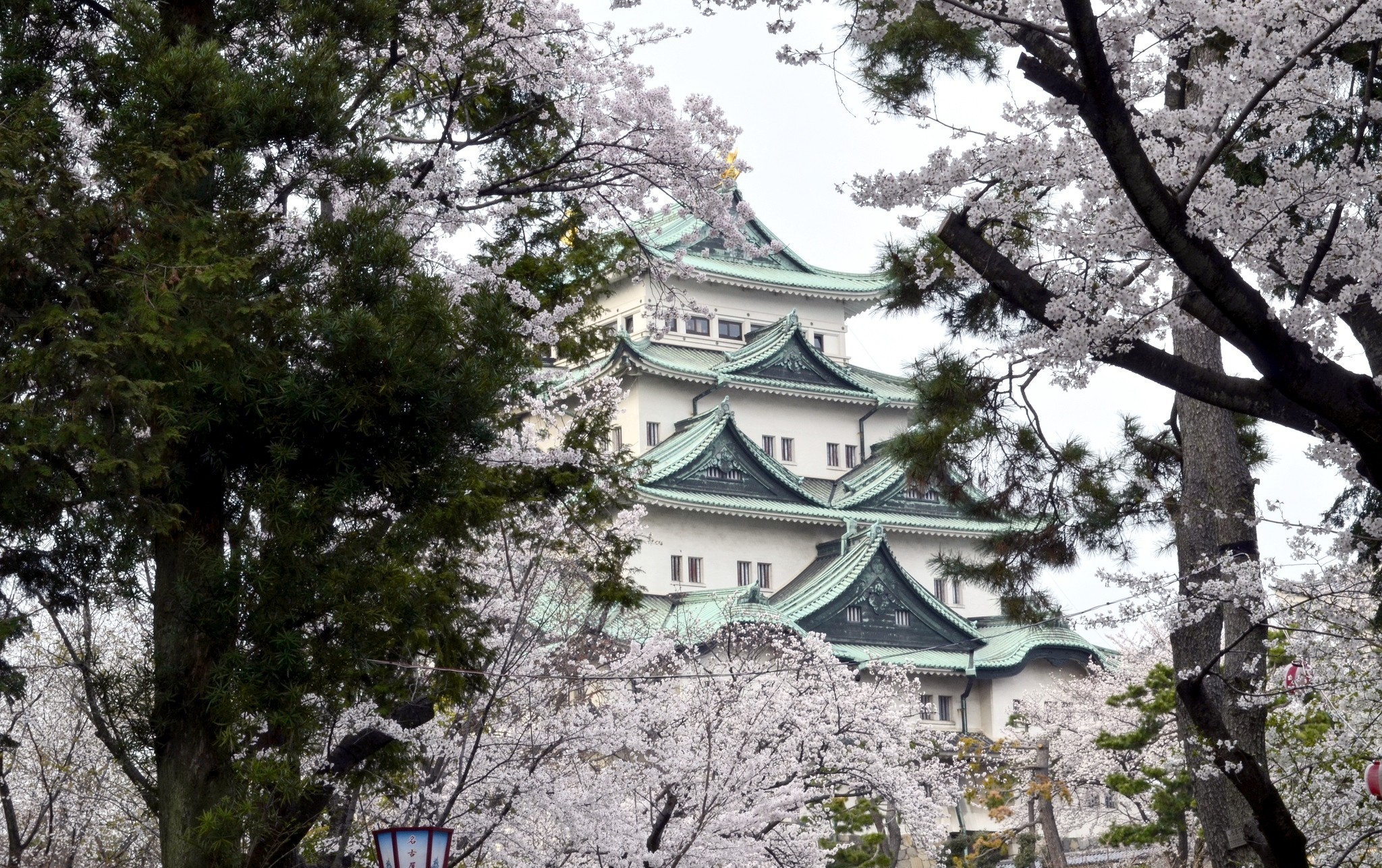 341690 télécharger le fond d'écran construction humaine, château d'osaka, japon, fleur de sakura, printemps, châteaux - économiseurs d'écran et images gratuitement
