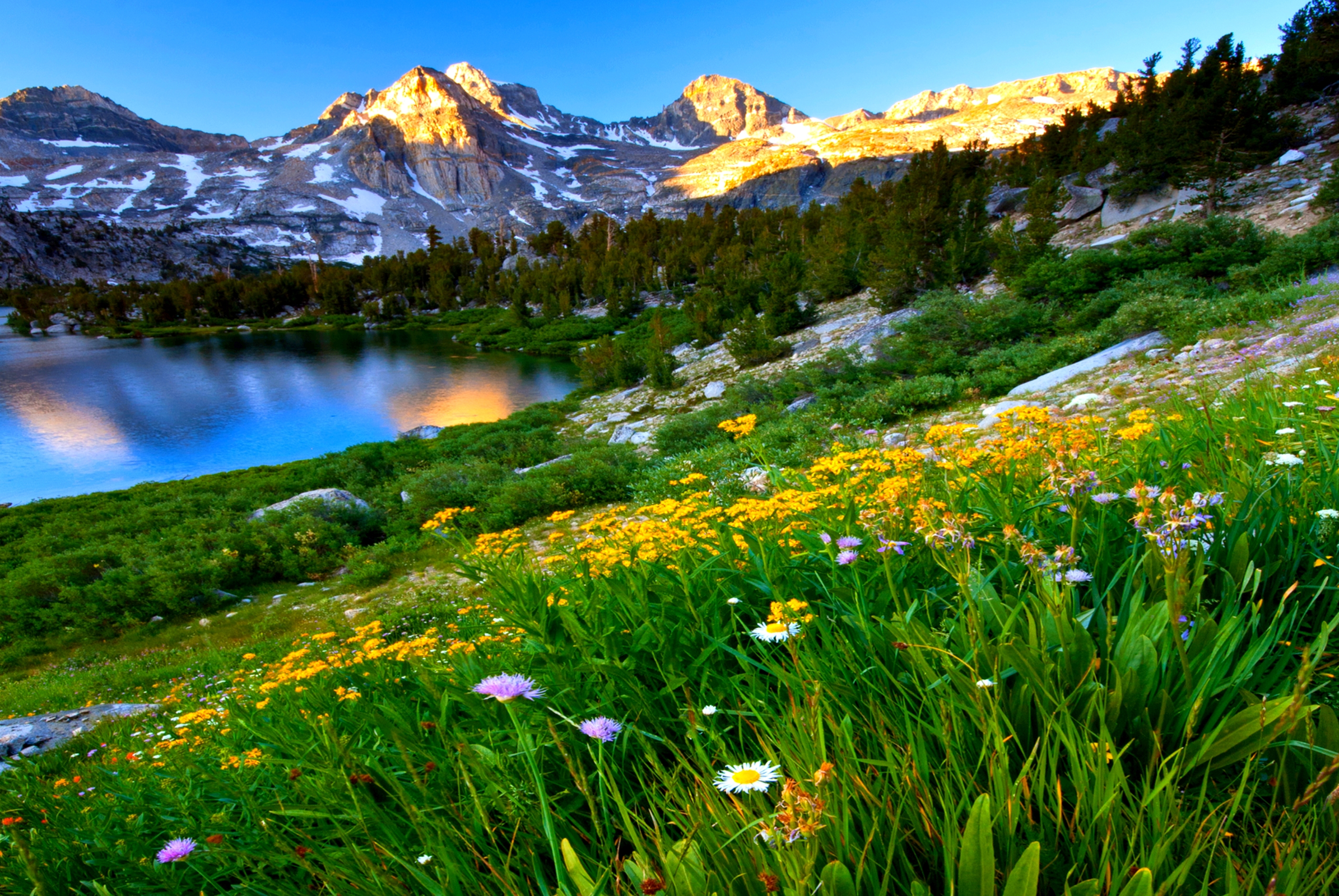 картинки лето природа горы