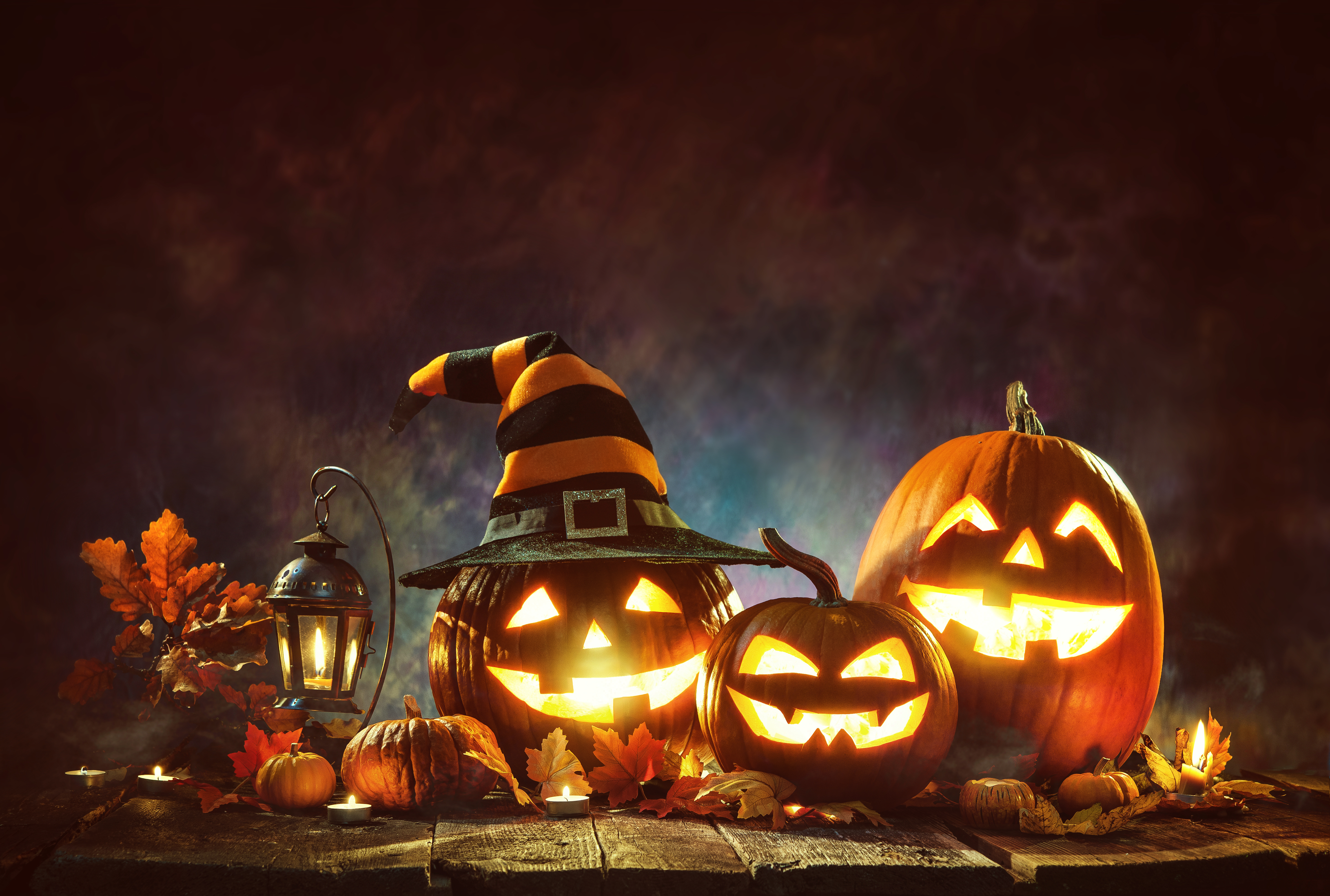 Download mobile wallpaper Halloween, Holiday, Lantern, Jack O' Lantern for free.