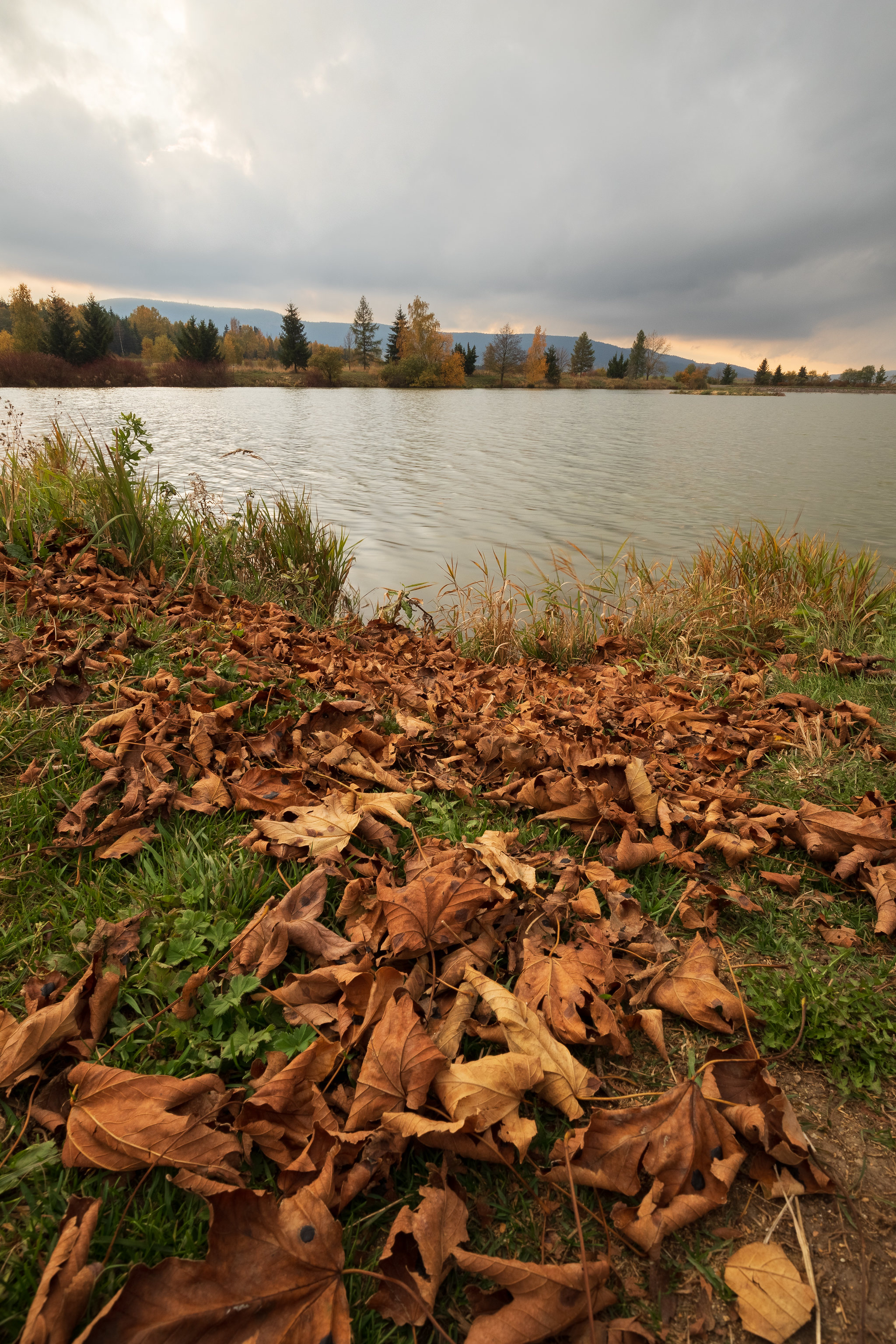 Download mobile wallpaper Leaves, Nature, Trees, Autumn, Lake for free.