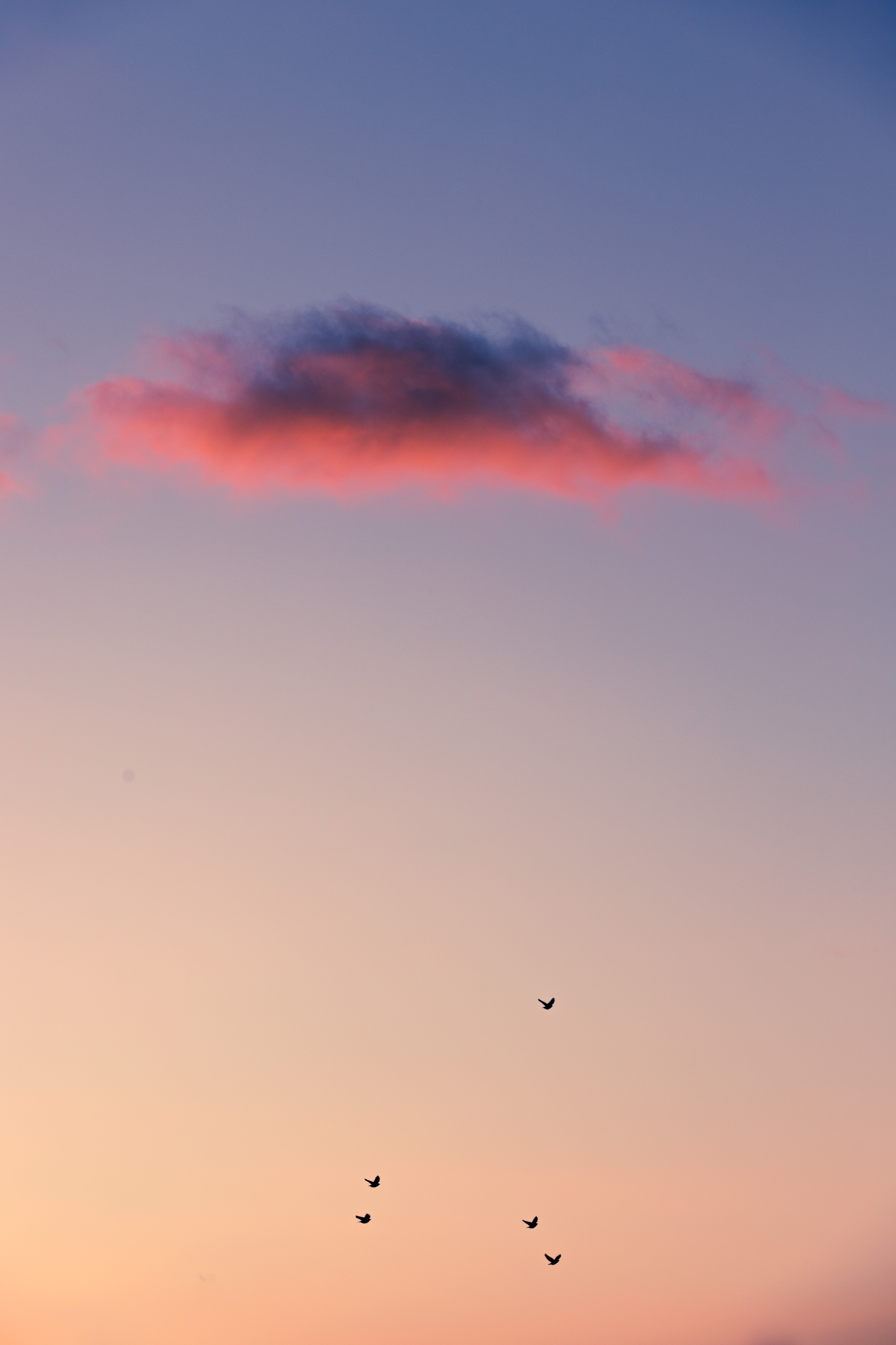 Handy-Wallpaper Sky, Cloud, Natur, Sunset, Wolke, Vögel kostenlos herunterladen.