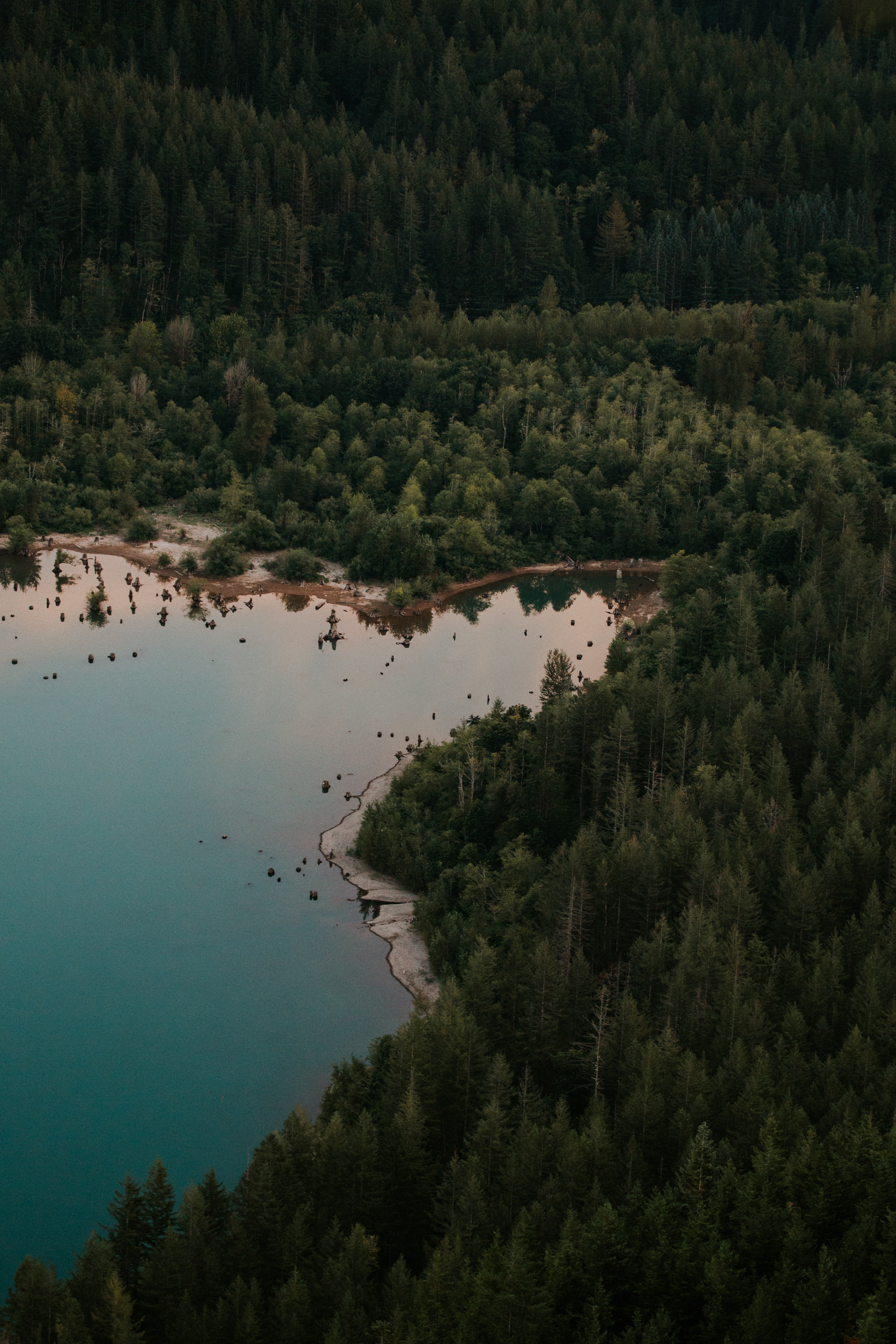 123189 Hintergrundbild herunterladen blick von oben, natur, bäume, see, wald - Bildschirmschoner und Bilder kostenlos