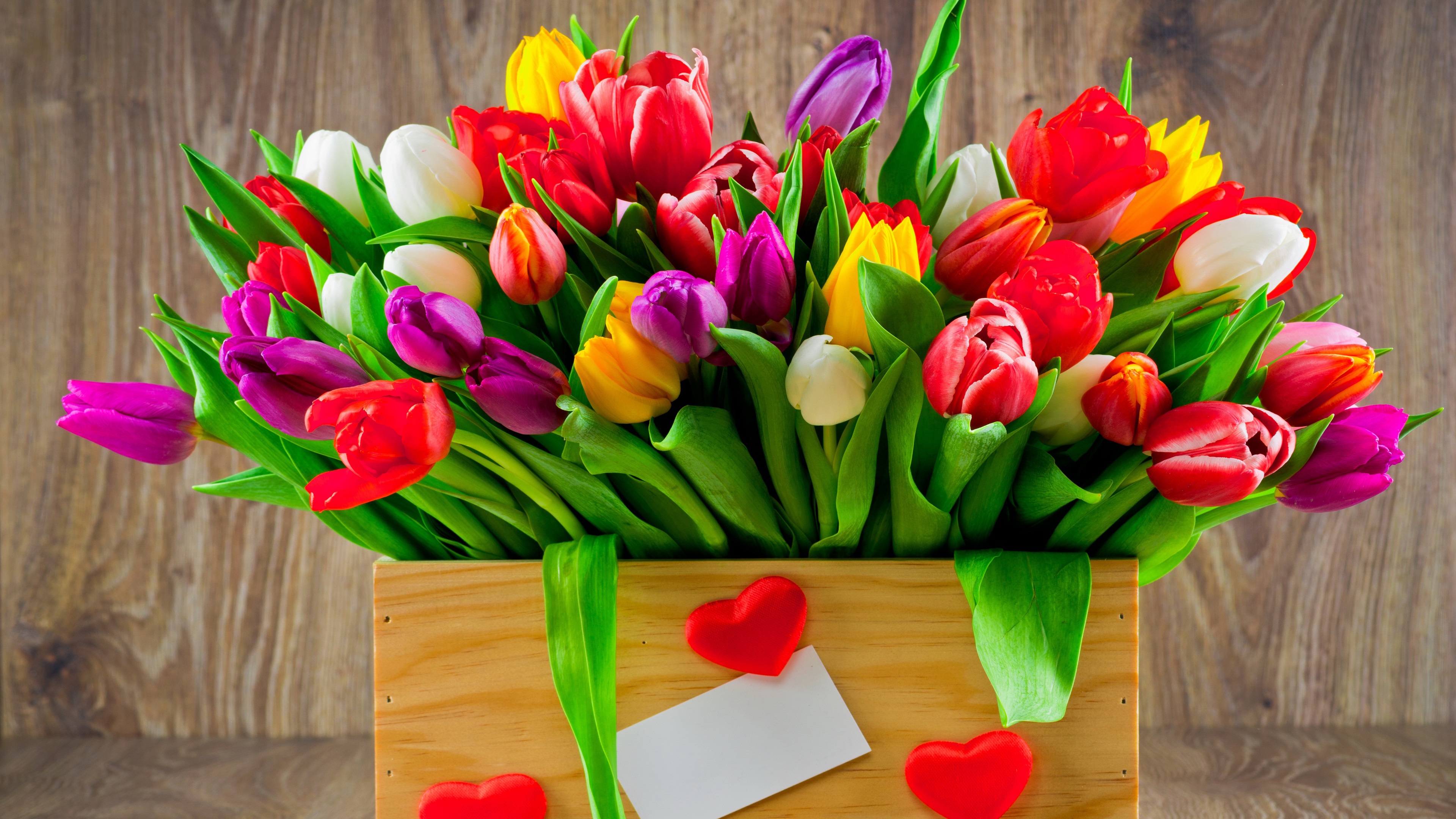 heart, man made, flower, box, colorful, colors, earth, purple flower, red flower, tulip, white flower, yellow flower