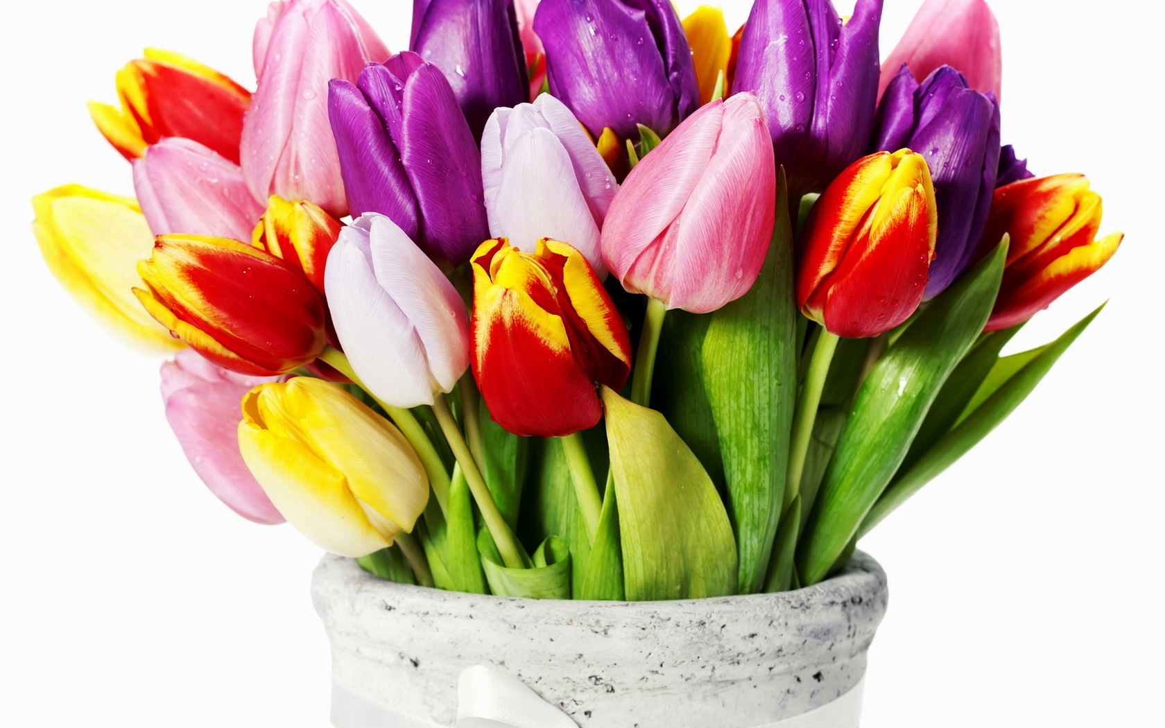 bouquets, plants, flowers, tulips wallpaper for mobile