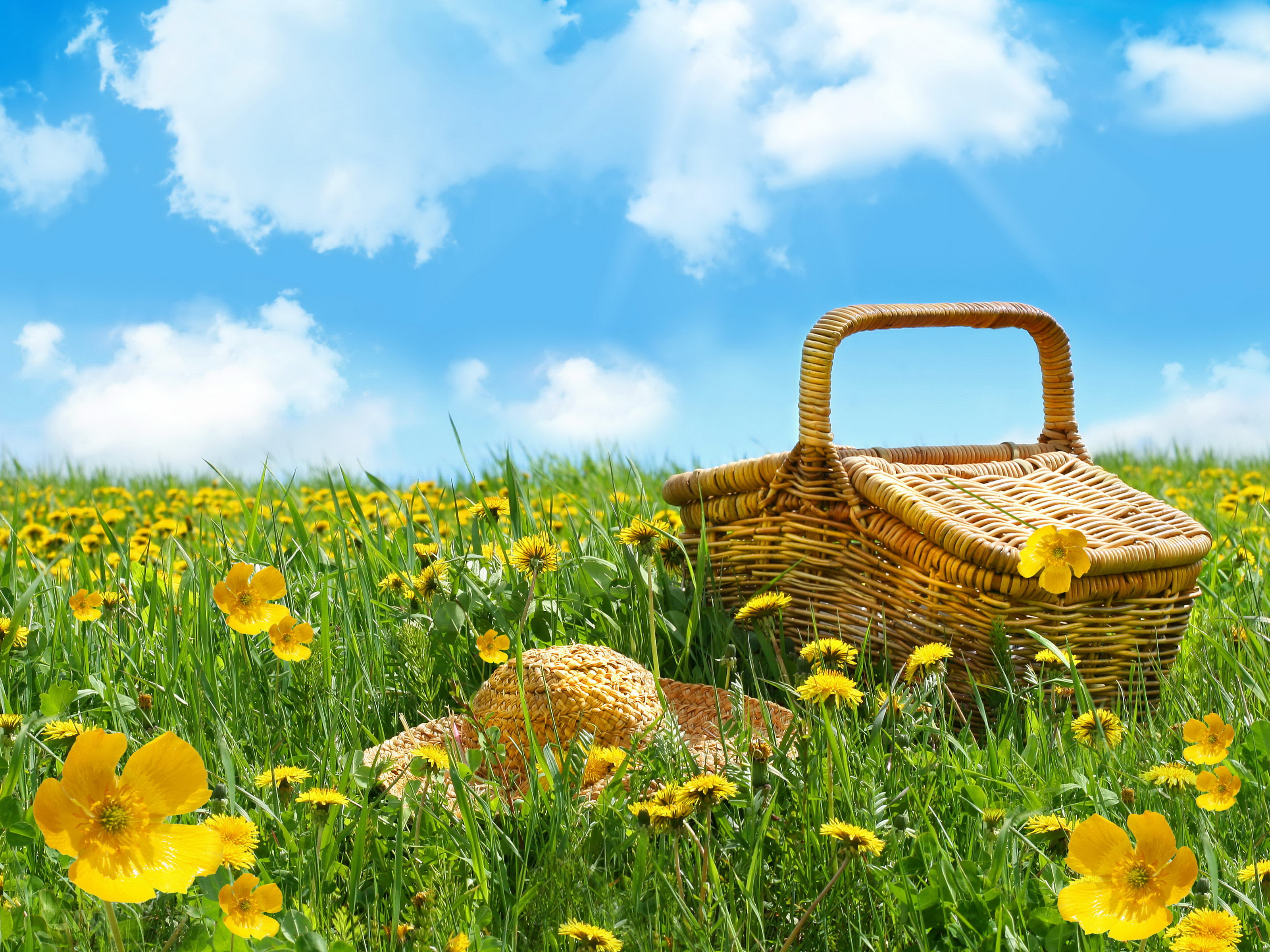 picnic basket, picnic, food, field, spring, straw hat, yellow flower 4K Ultra