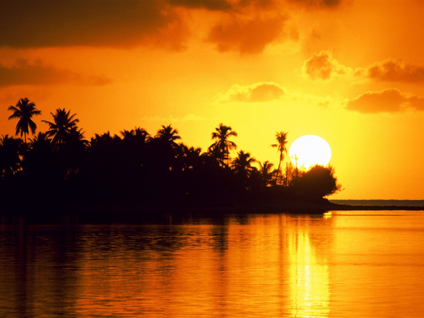 Download mobile wallpaper Landscape, Sunset, Palms for free.