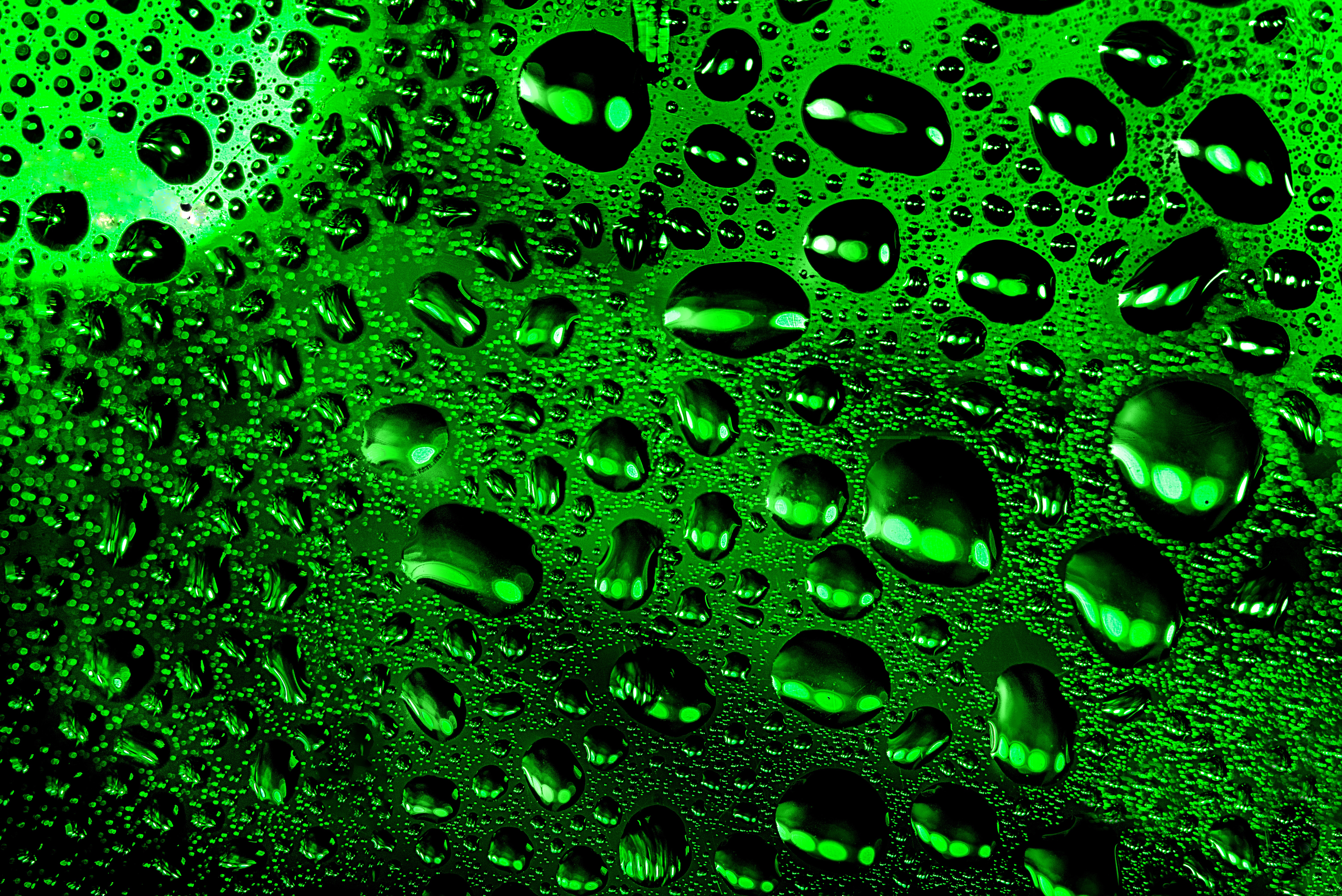 64853 Hintergrundbild herunterladen drops, grün, makro, nass, oberfläche - Bildschirmschoner und Bilder kostenlos