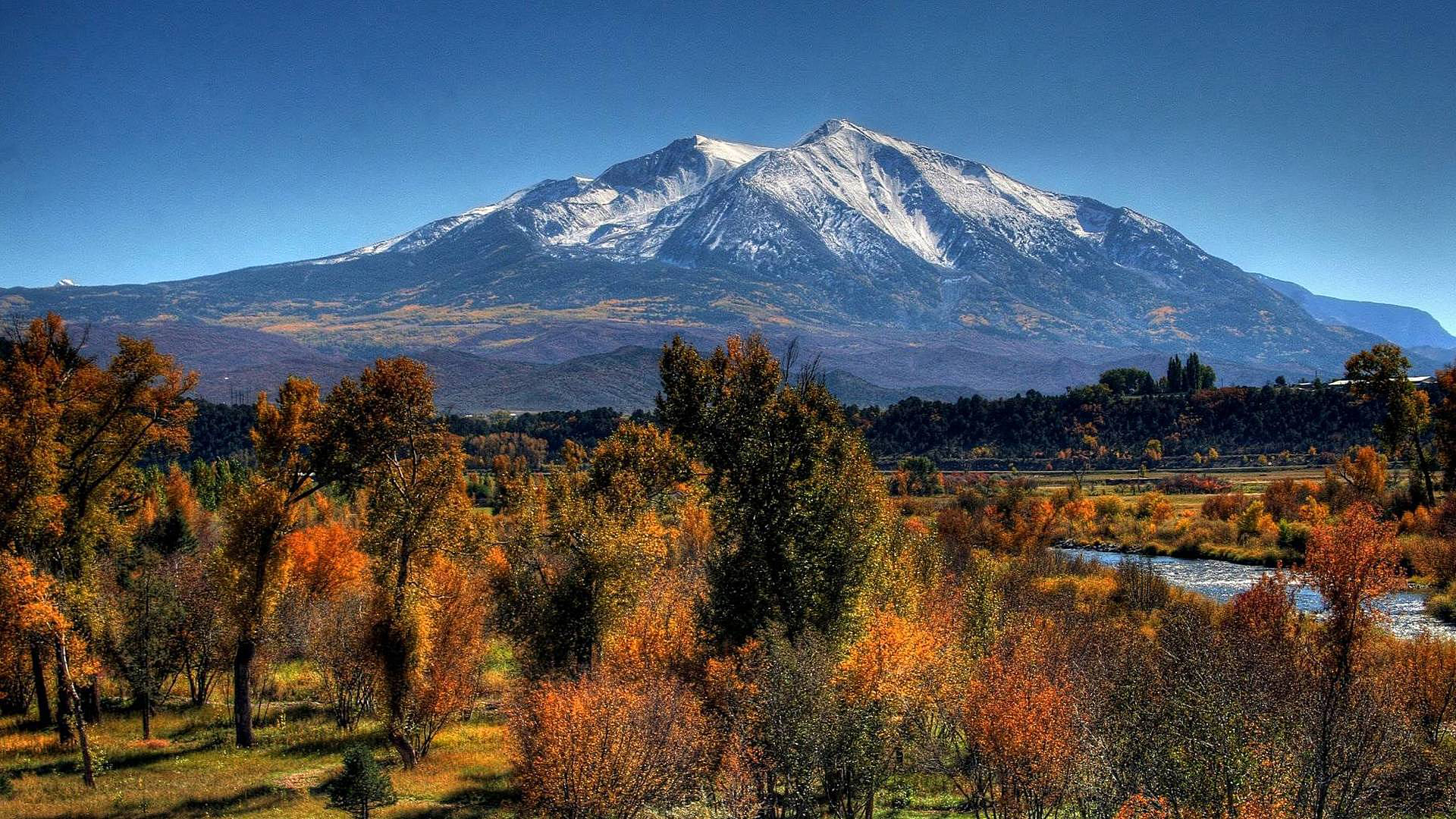 Лес горы осень панорама