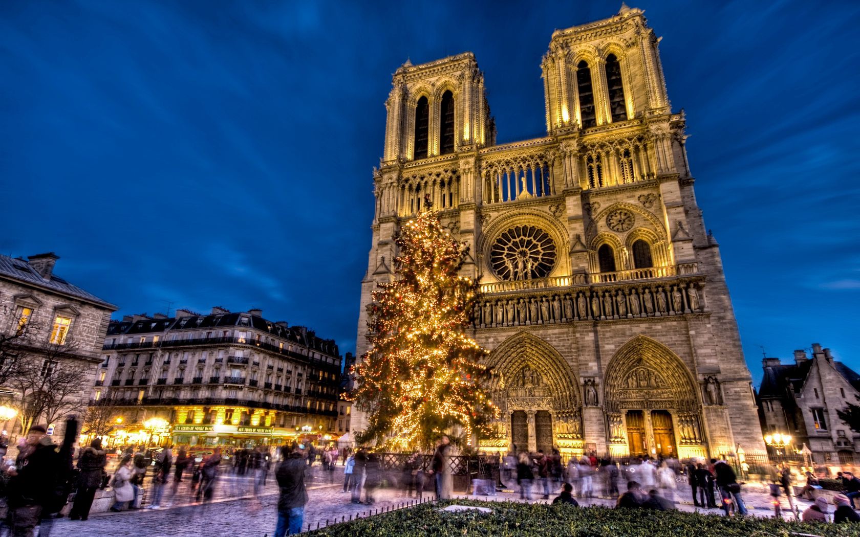 cities, new year, paris, holiday, france, square, christmas tree, area, notre dame cathedral, notre dame de paris