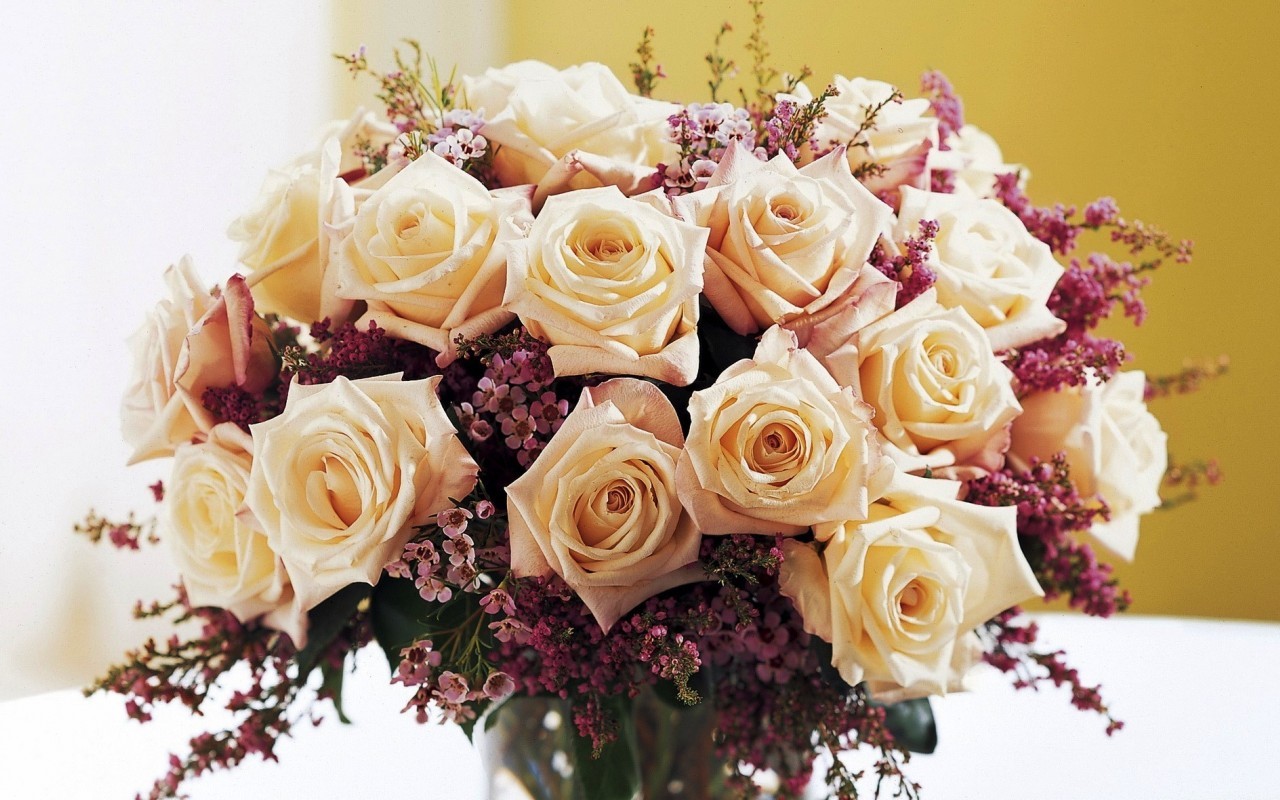 Téléchargez des papiers peints mobile Plantes, Fleurs, Roses, Bouquets gratuitement.