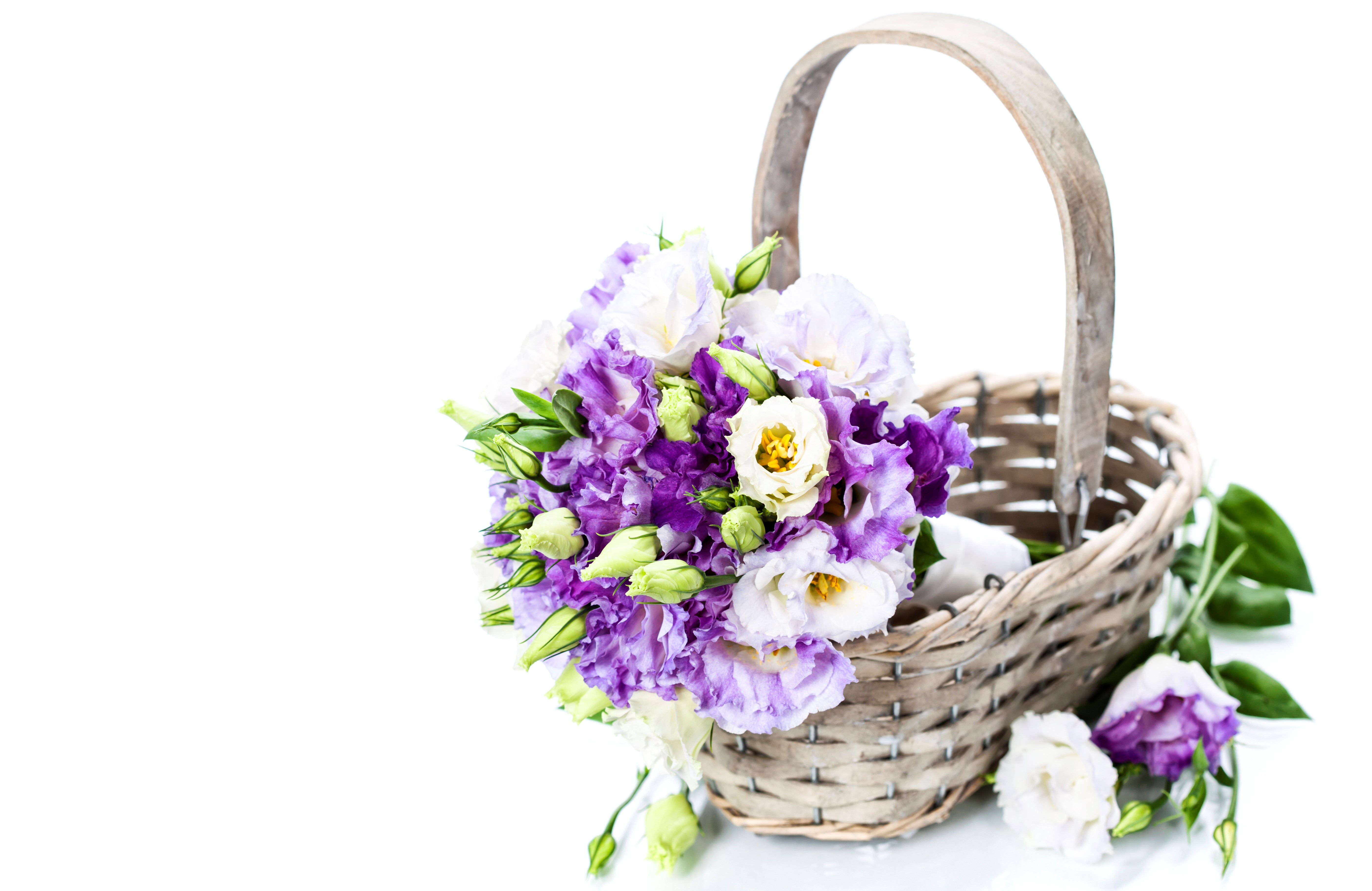 man made, flower, basket, eustoma
