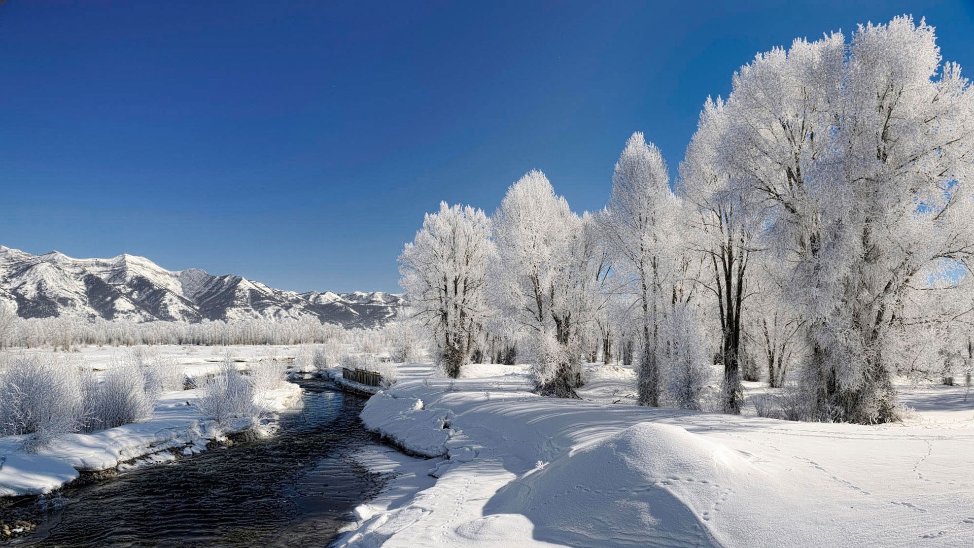 Скачать картинку Пейзаж, Зима, Река в телефон бесплатно.