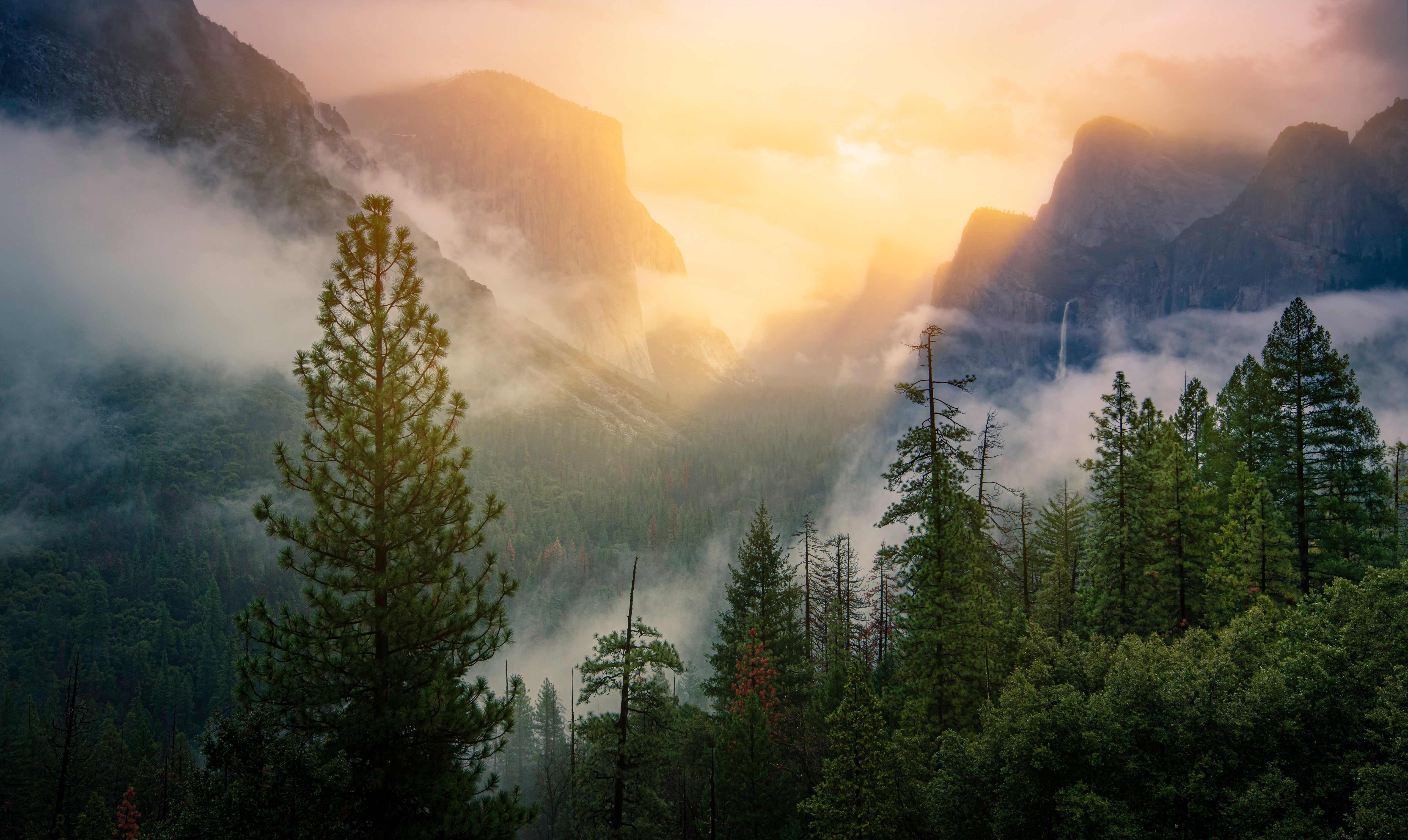 Национальный парк Йосемити в тумане