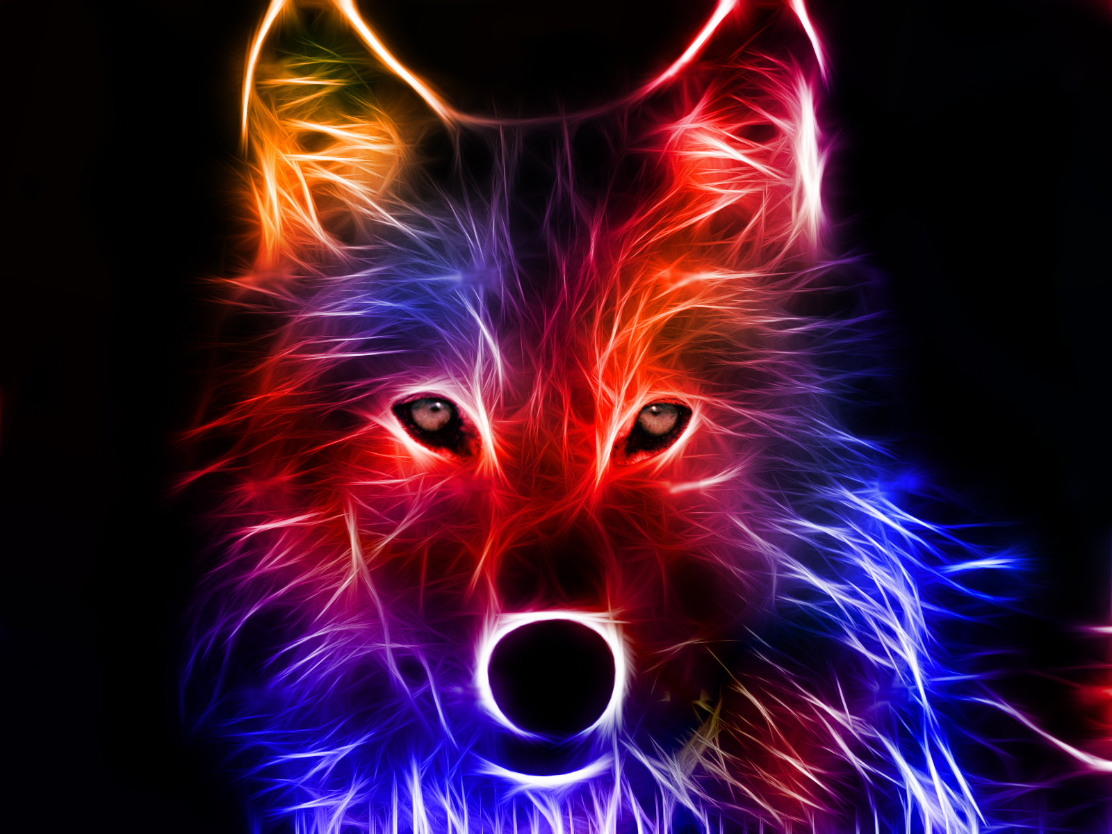 wolf, animal, fractal, colorful, wolves