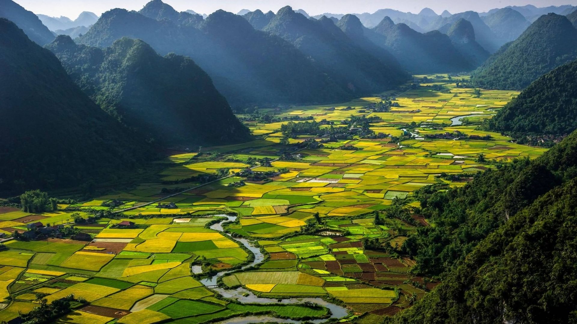 755324 скачать обои земля, вьетнам, фотографии, пейзаж, поле, зеленый, рисовая терраса - заставки и картинки бесплатно