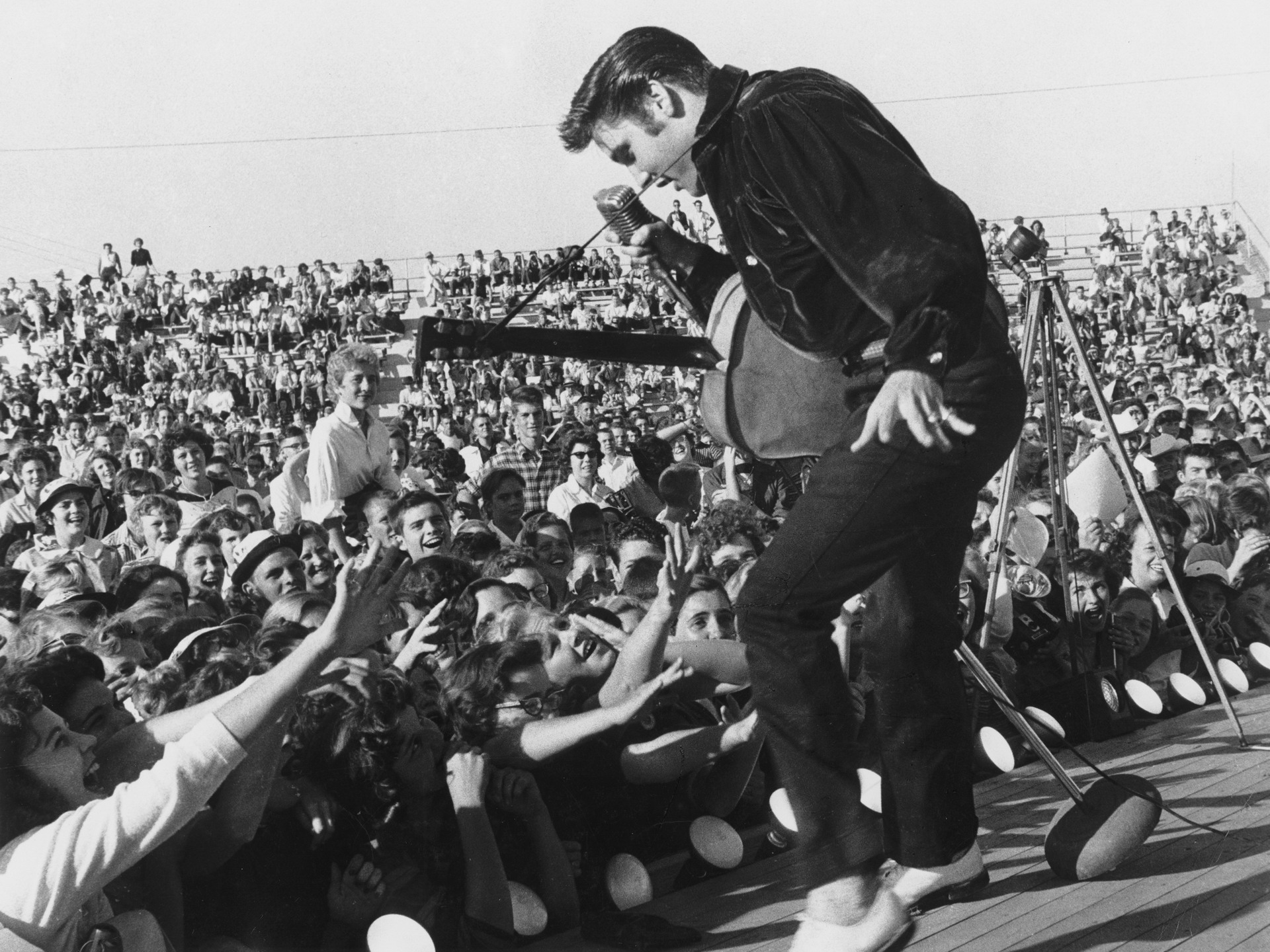 Free Elvis Presley HD Download HQ