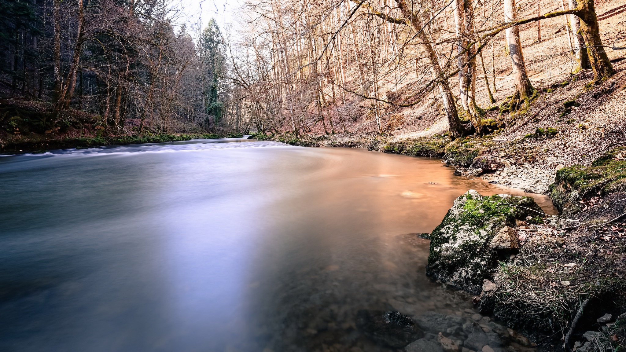 Река земля 2. Страшная река обои 4к. Nature Forest.